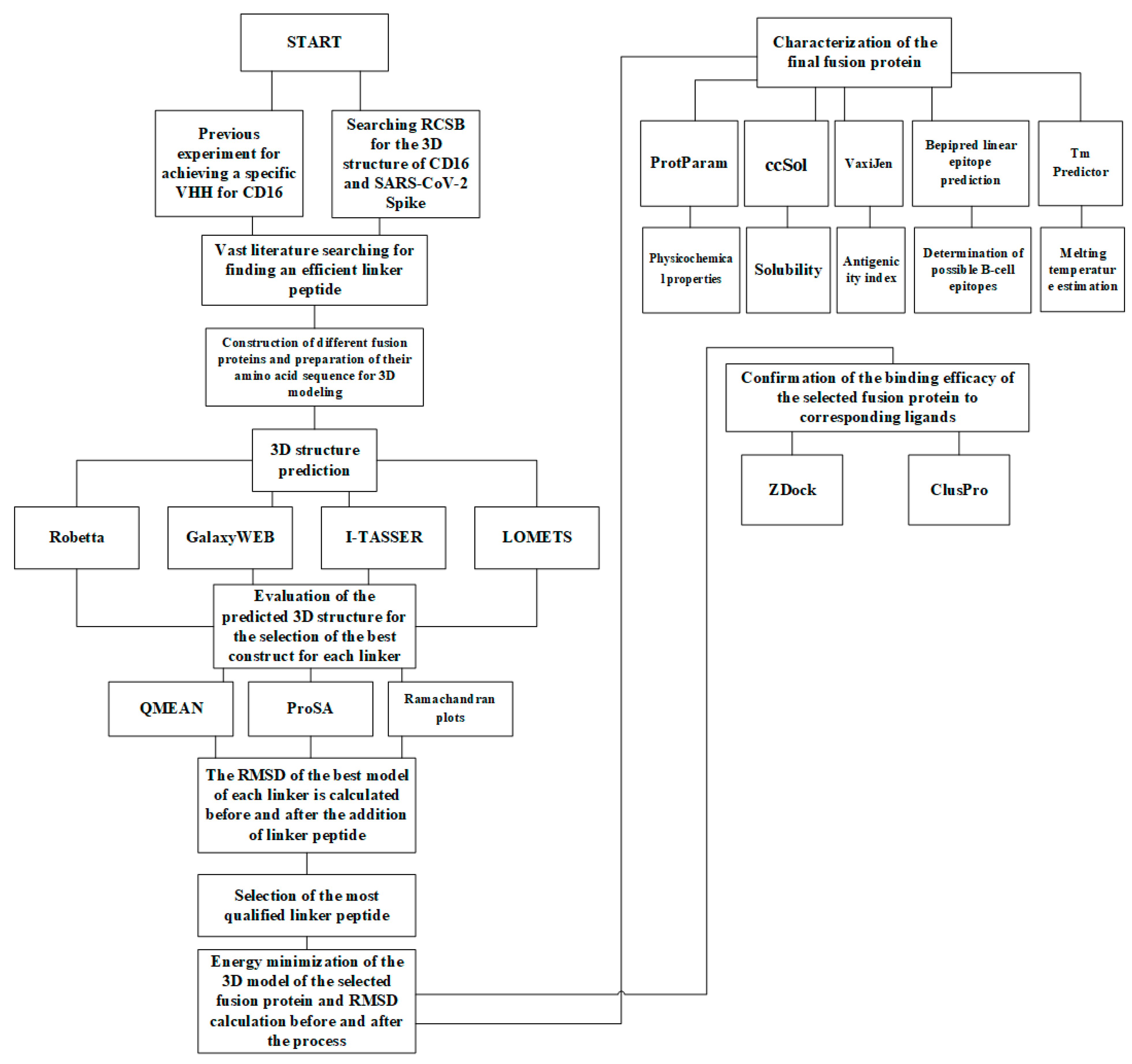 Vaccines 13 00199 g001