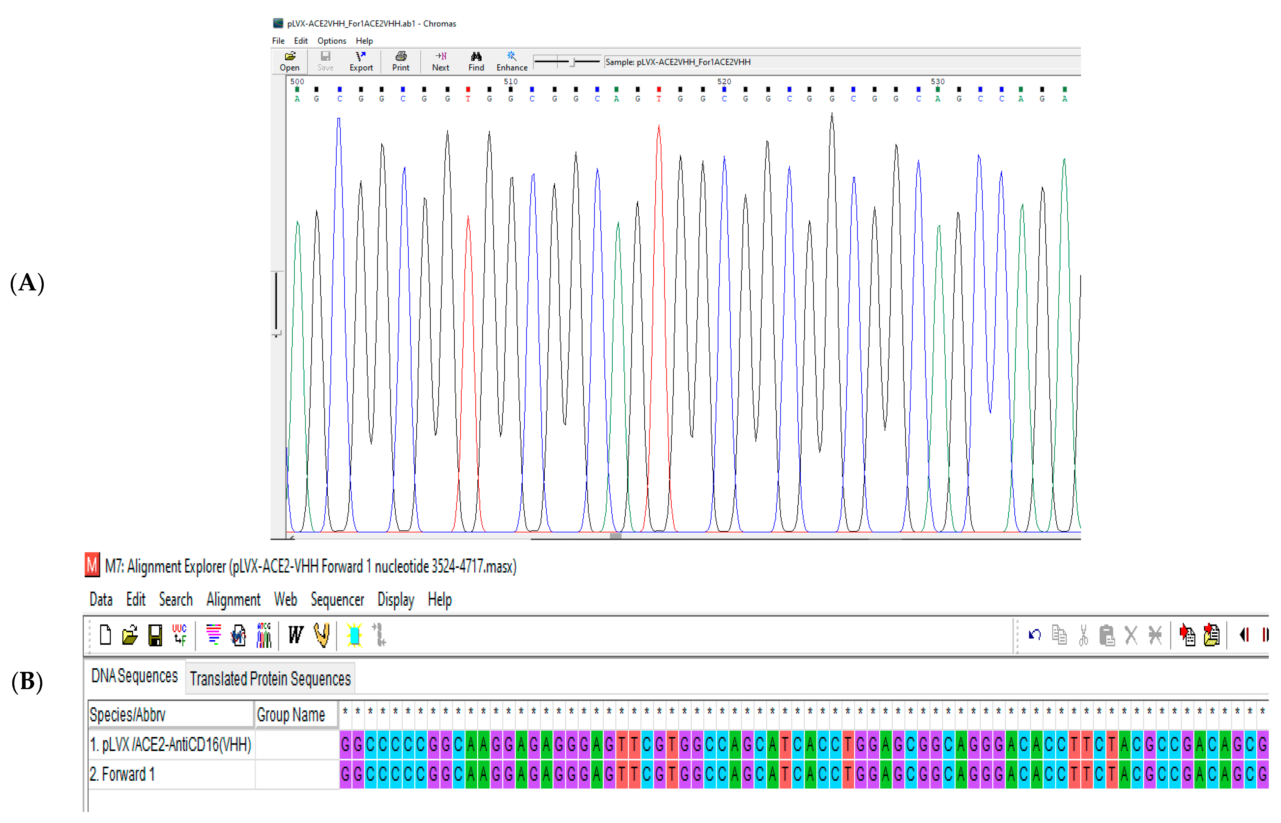 Vaccines 13 00199 g009