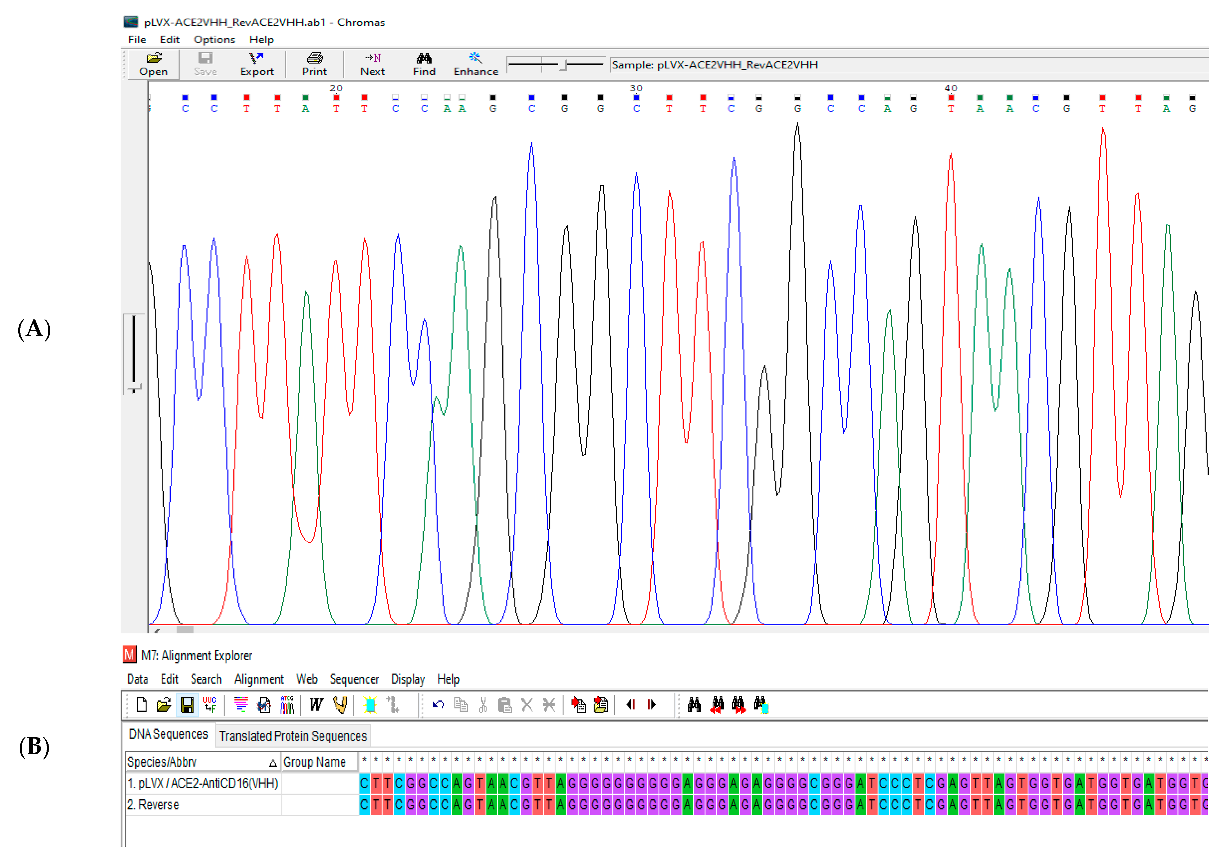Vaccines 13 00199 g011