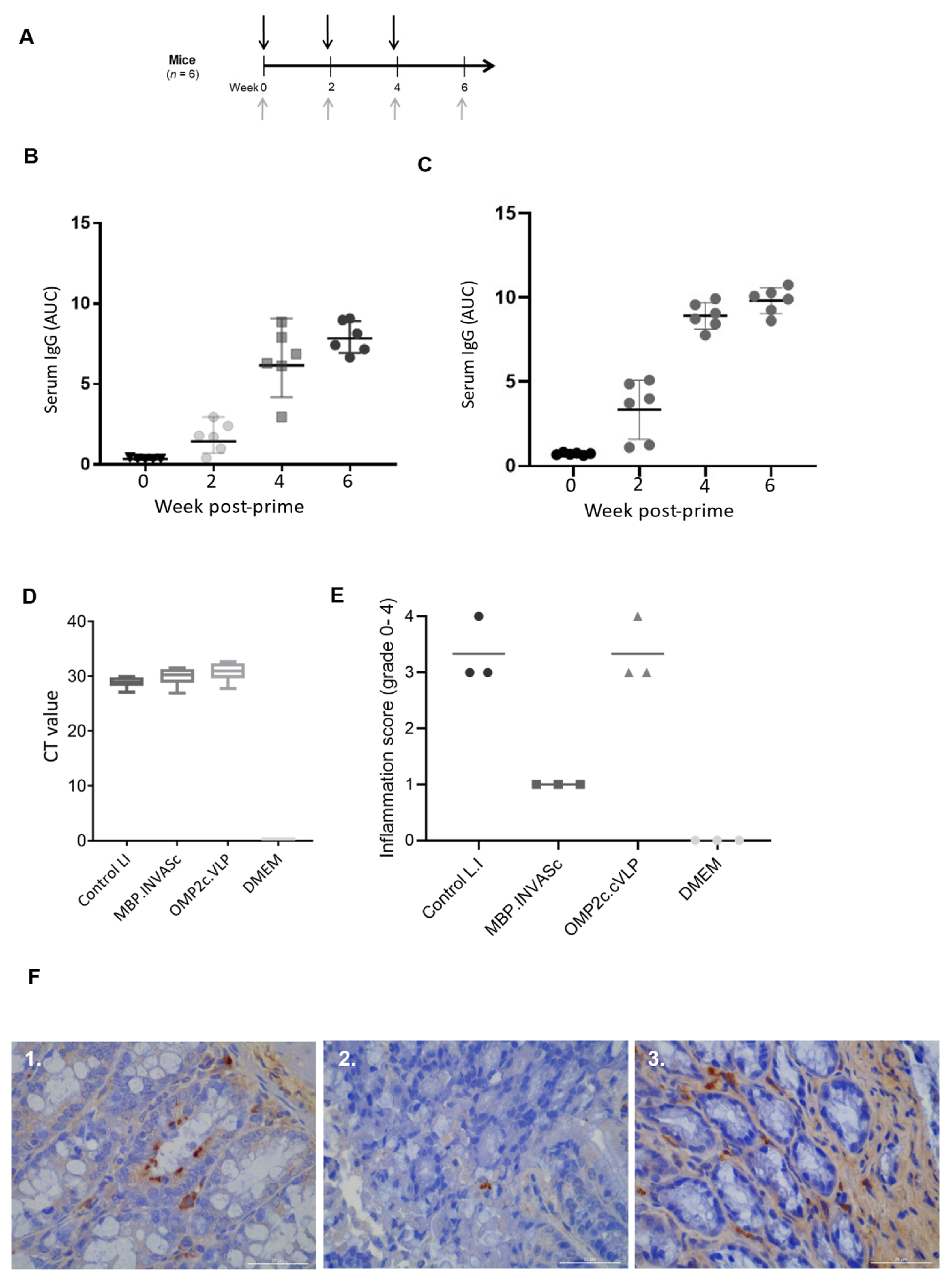 Vaccines 13 00207 g002