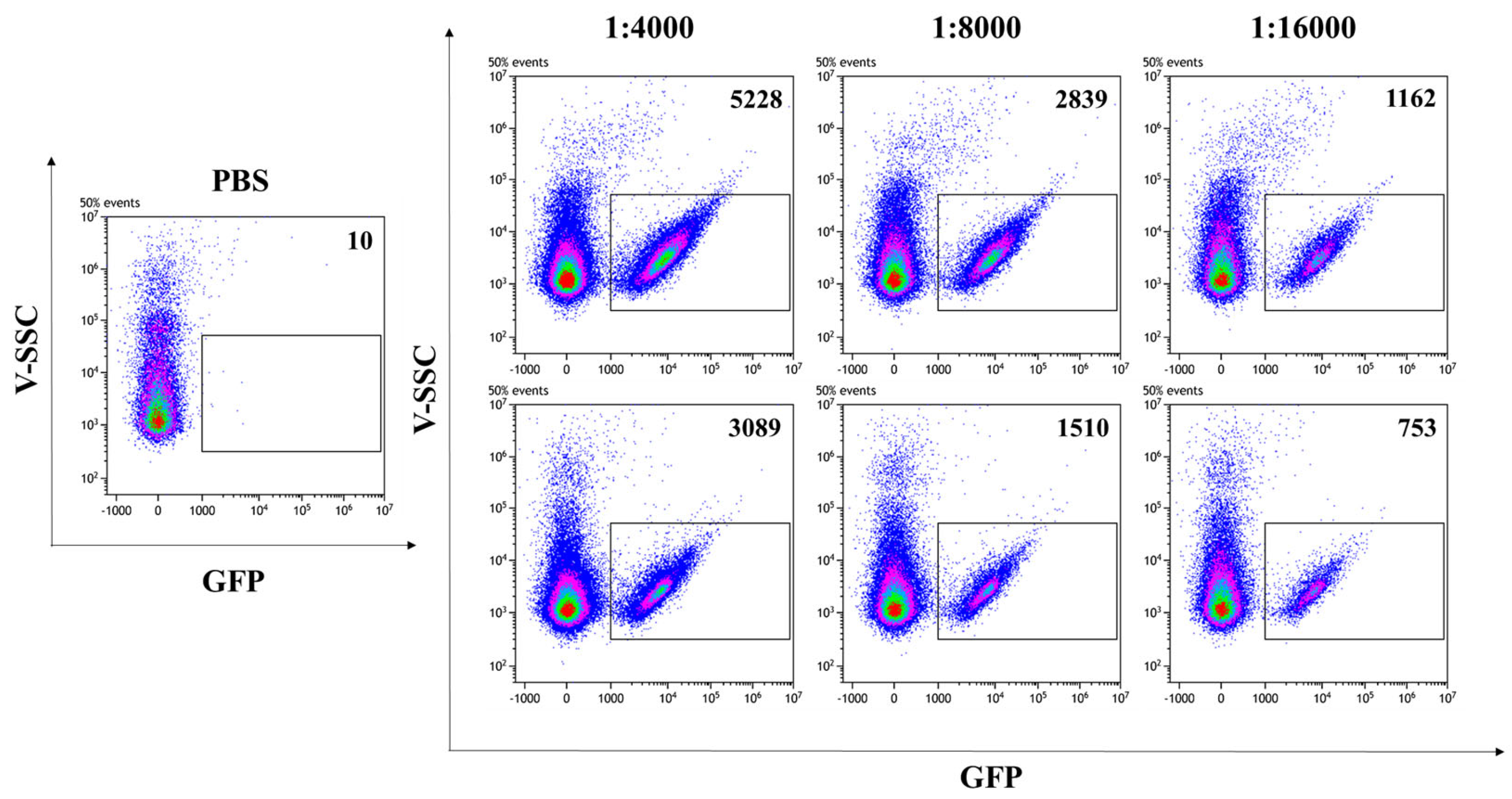 Vaccines 13 00216 g003