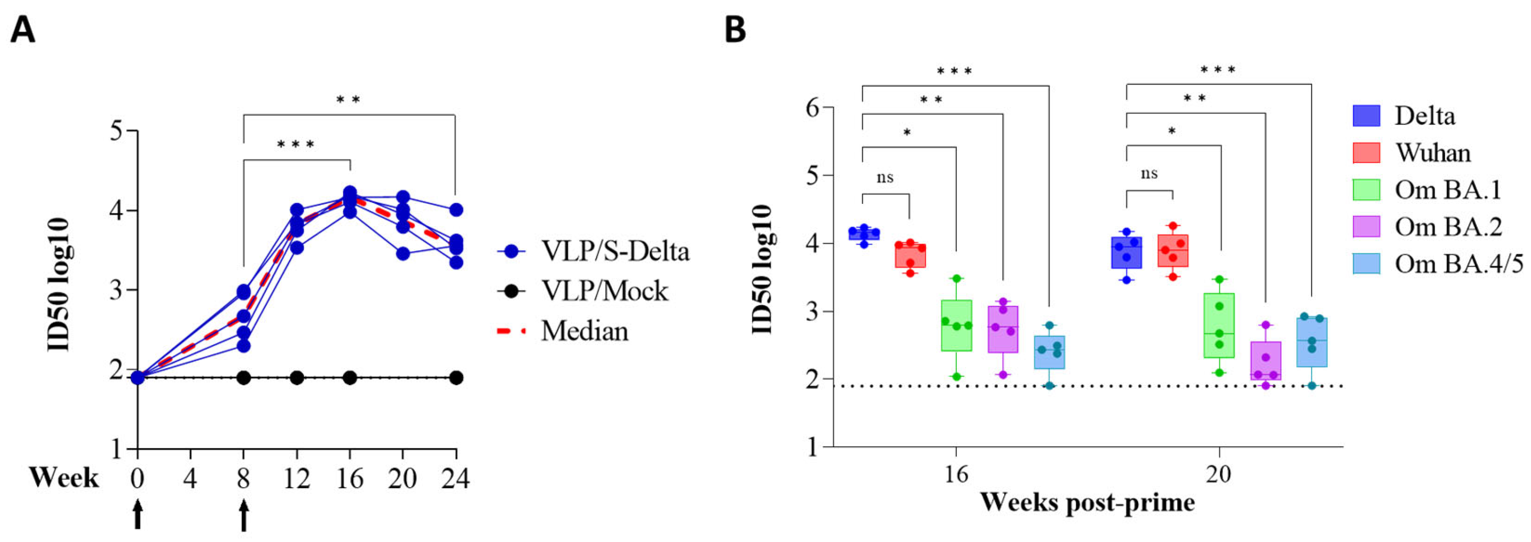 Vaccines 13 00216 g005
