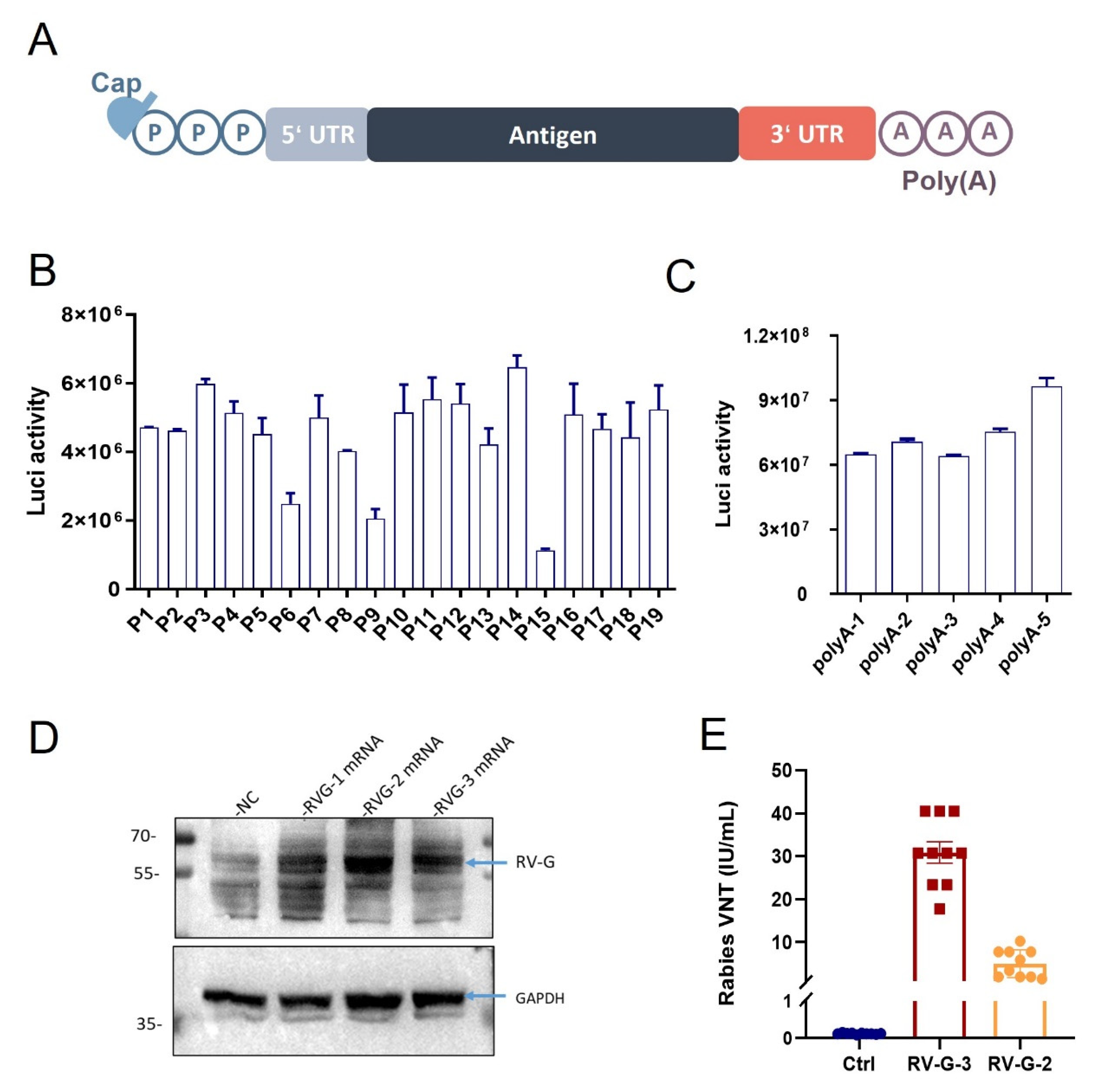 Vaccines 13 00217 g001
