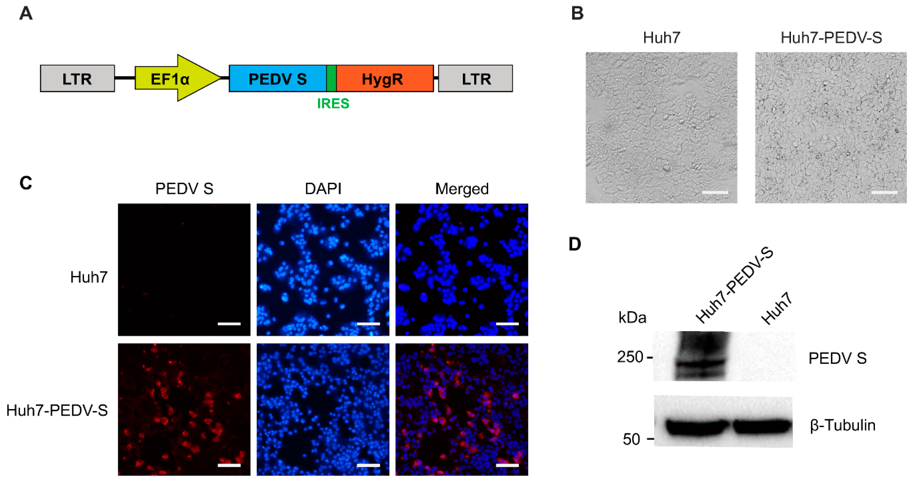 Vaccines 13 00223 g001