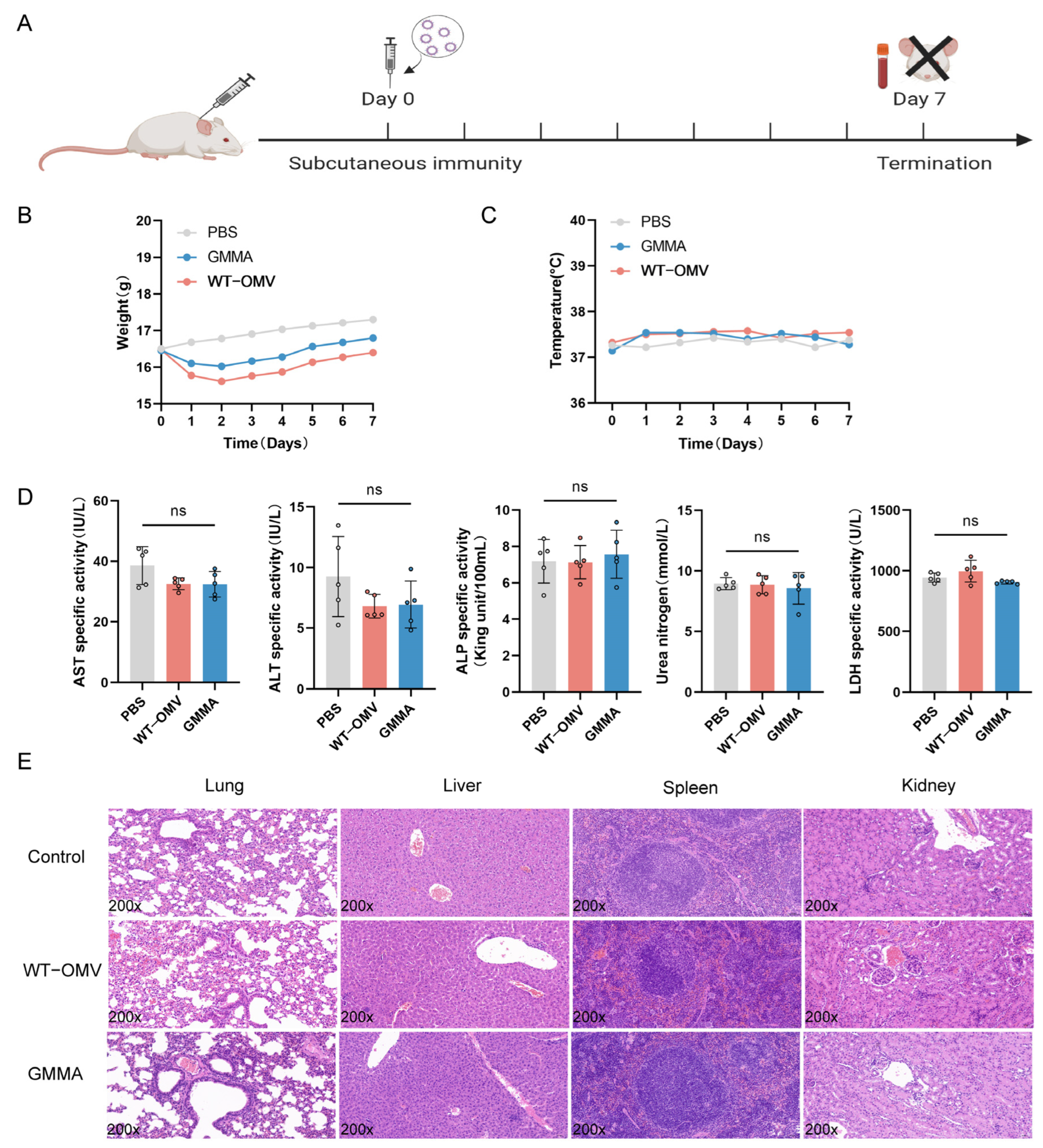 Vaccines 13 00226 g003
