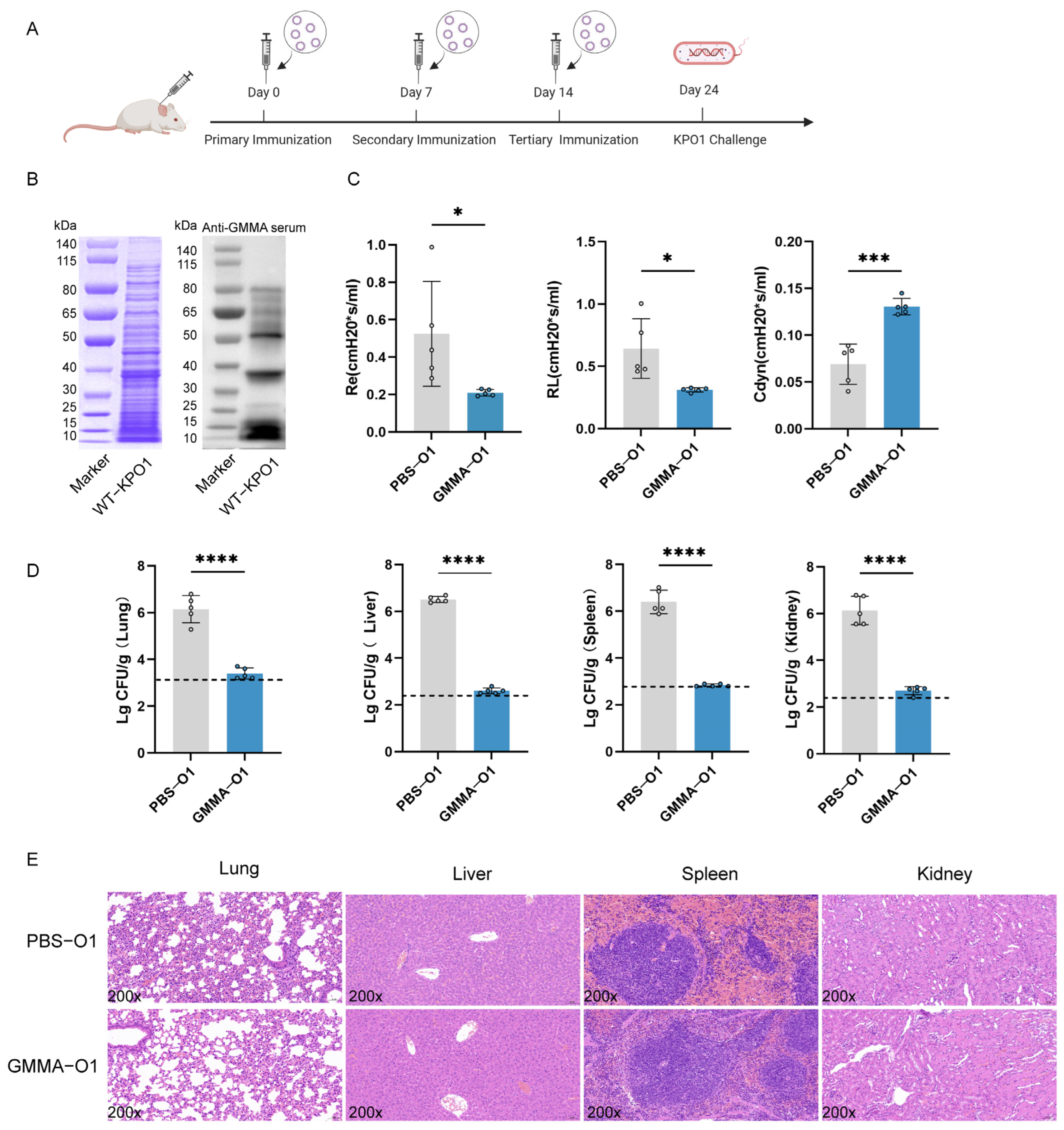 Vaccines 13 00226 g005
