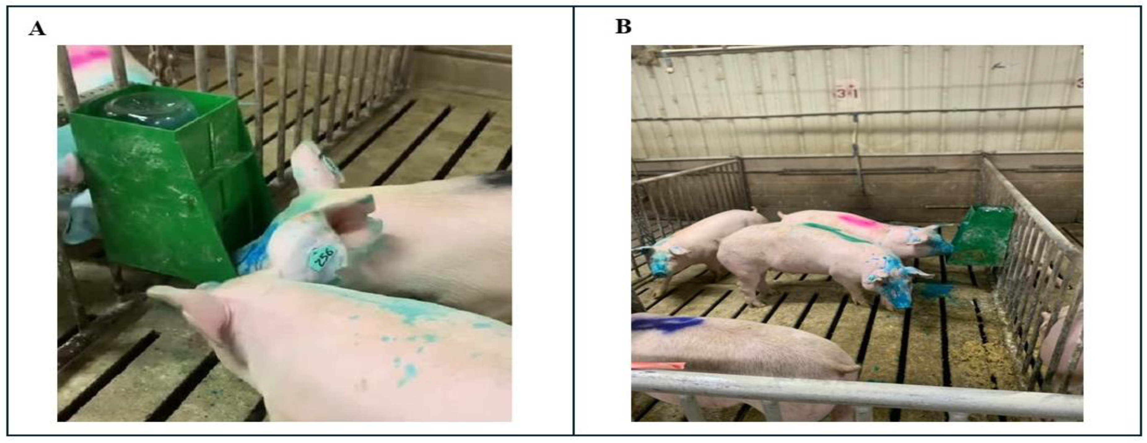 Vaccines 13 00229 g001