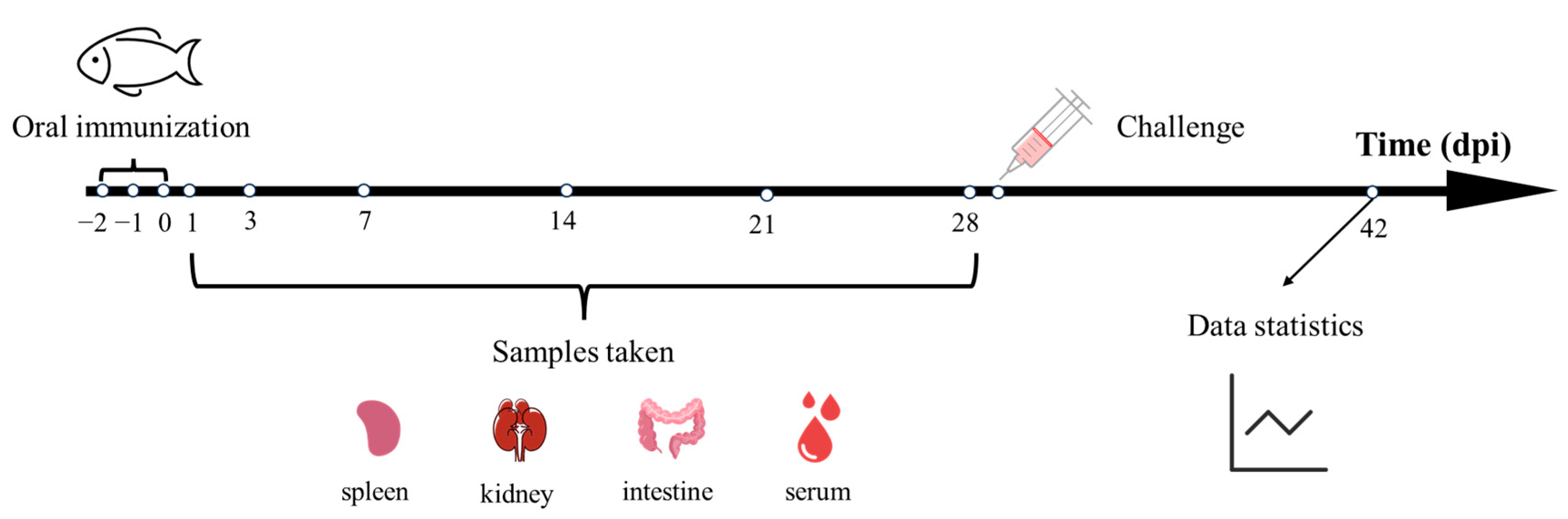 Vaccines 13 00233 g001