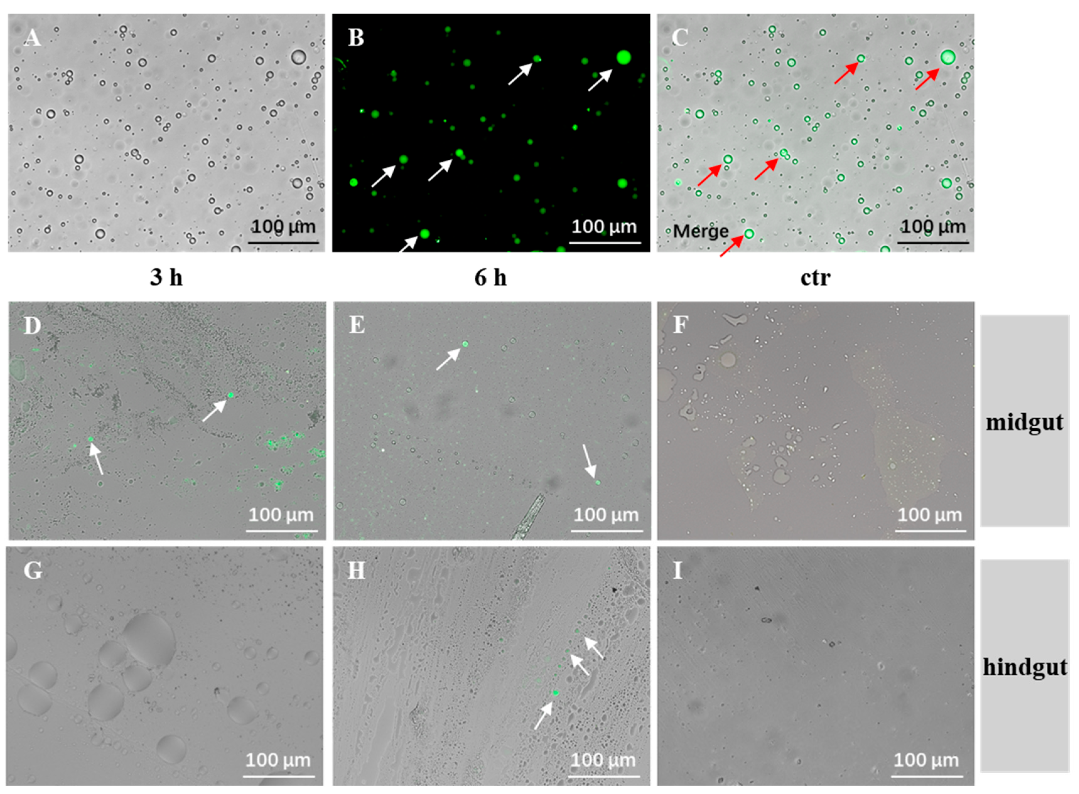Vaccines 13 00233 g004