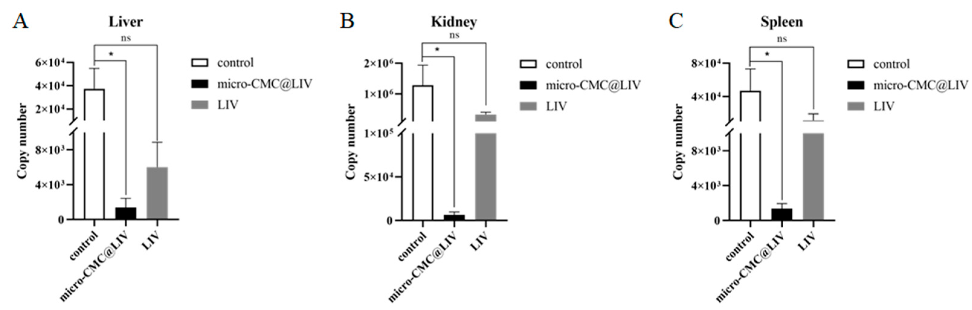 Vaccines 13 00233 g007