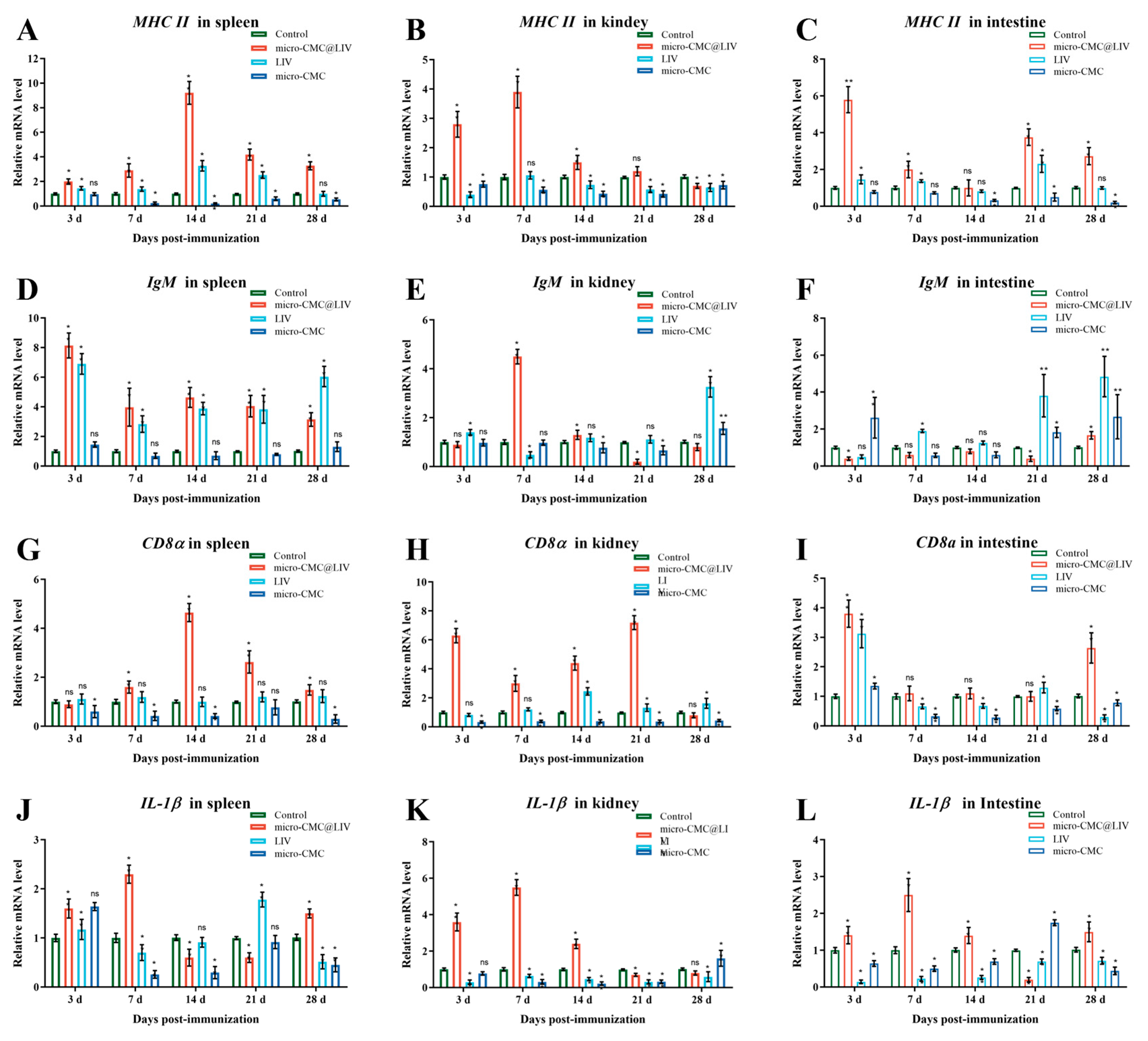 Vaccines 13 00233 g009
