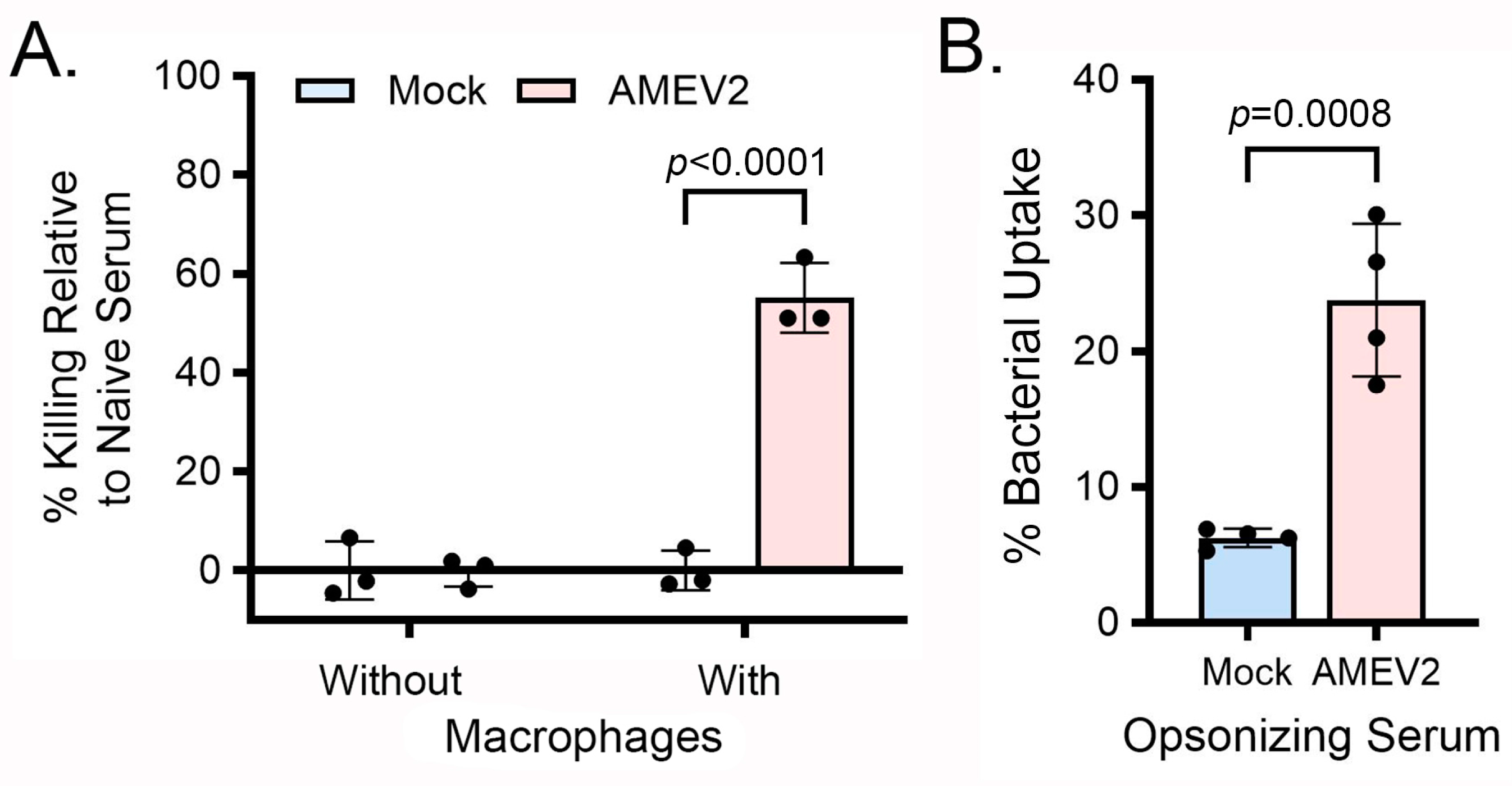Vaccines 13 00236 g003 Vaccines 13 00236 g003