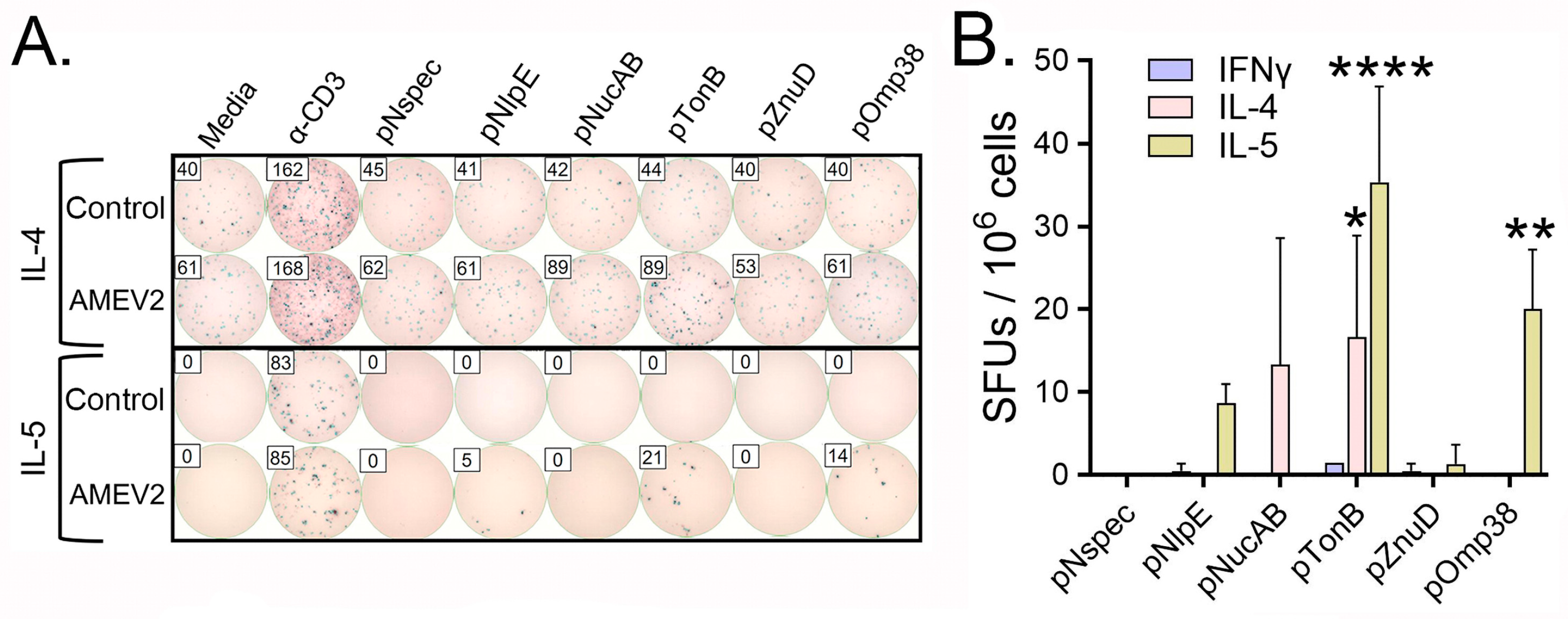 Vaccines 13 00236 g005 Vaccines 13 00236 g005