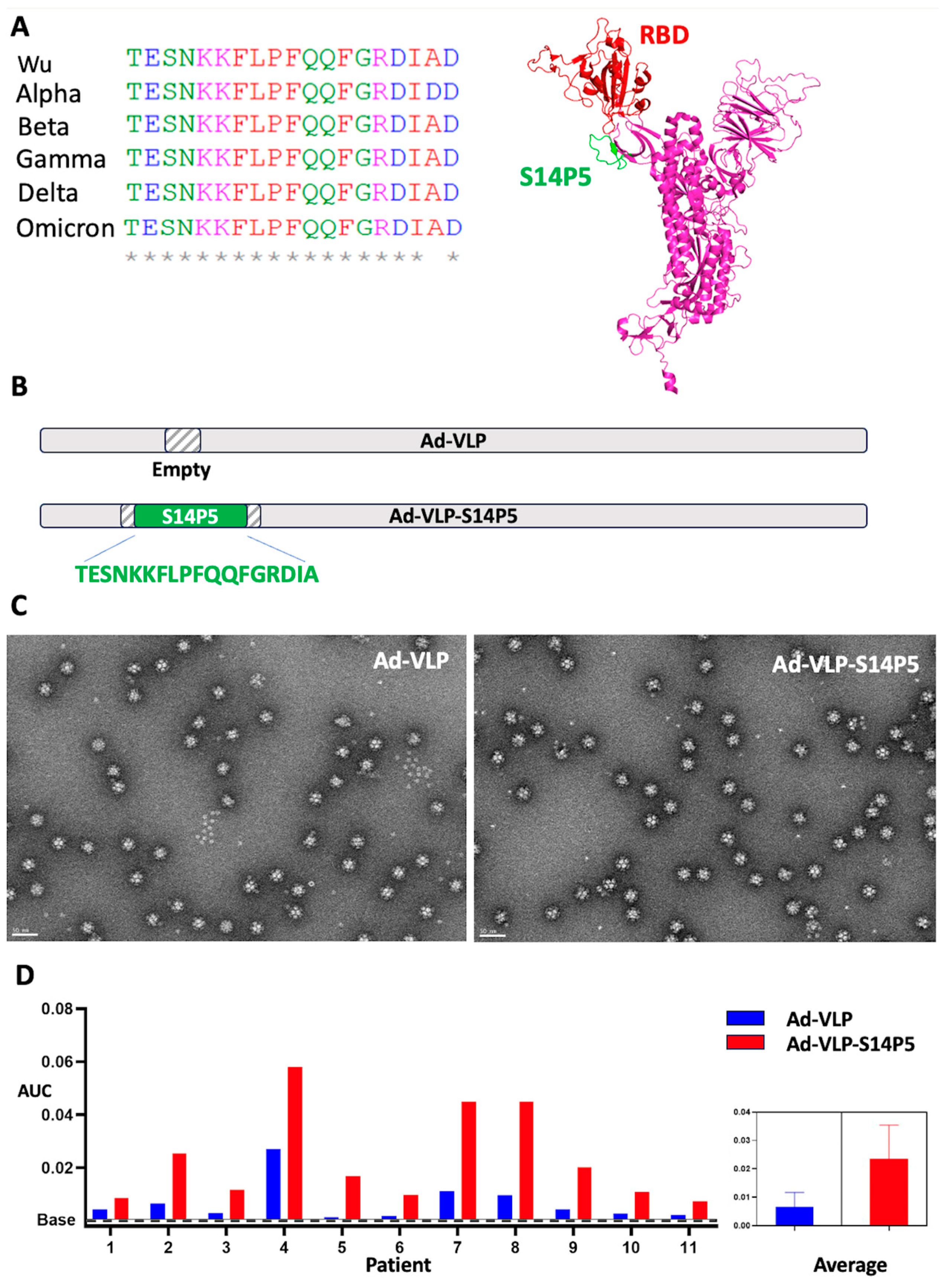 Vaccines 13 00238 g001