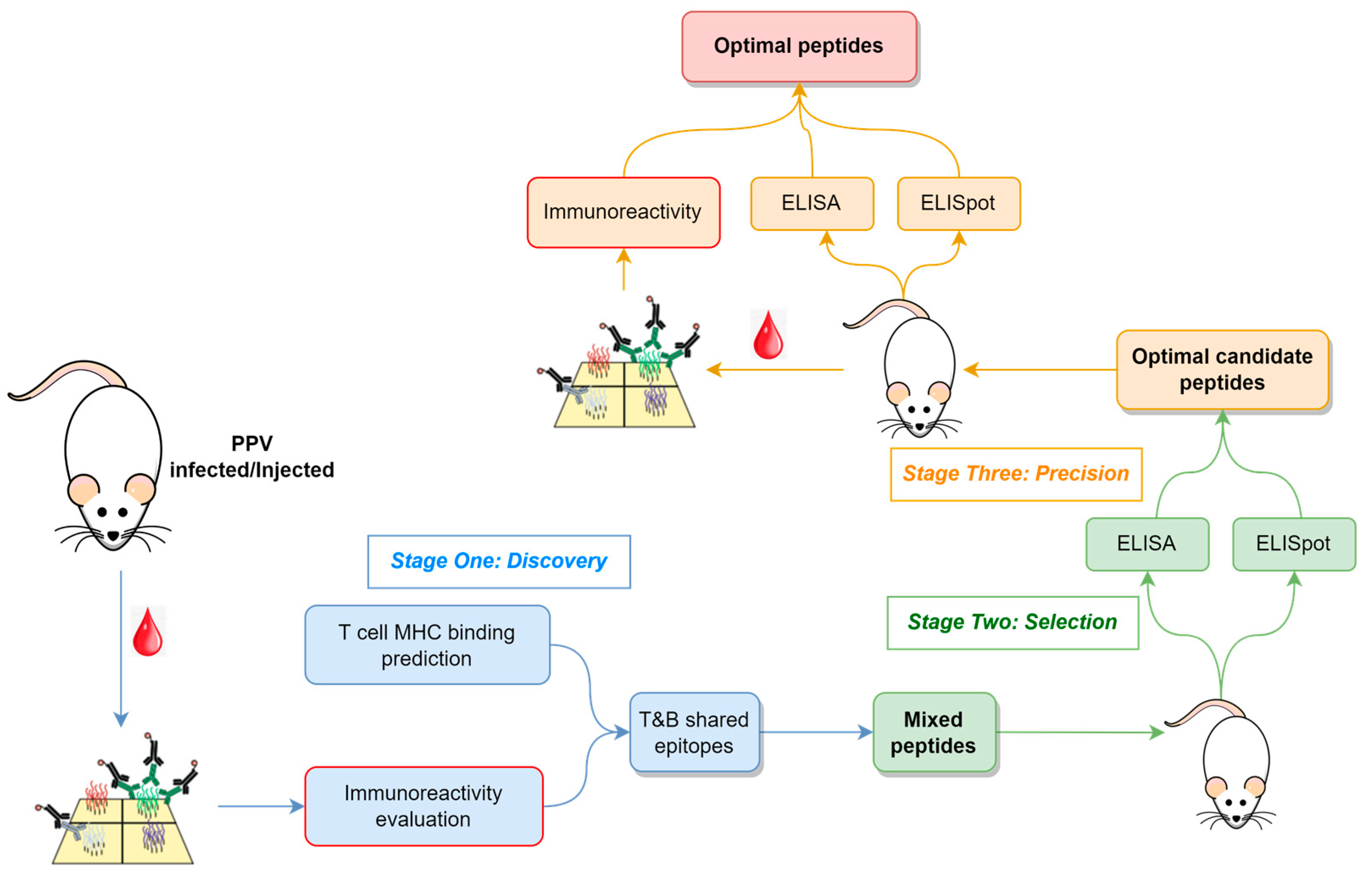 Vaccines 13 00239 g001