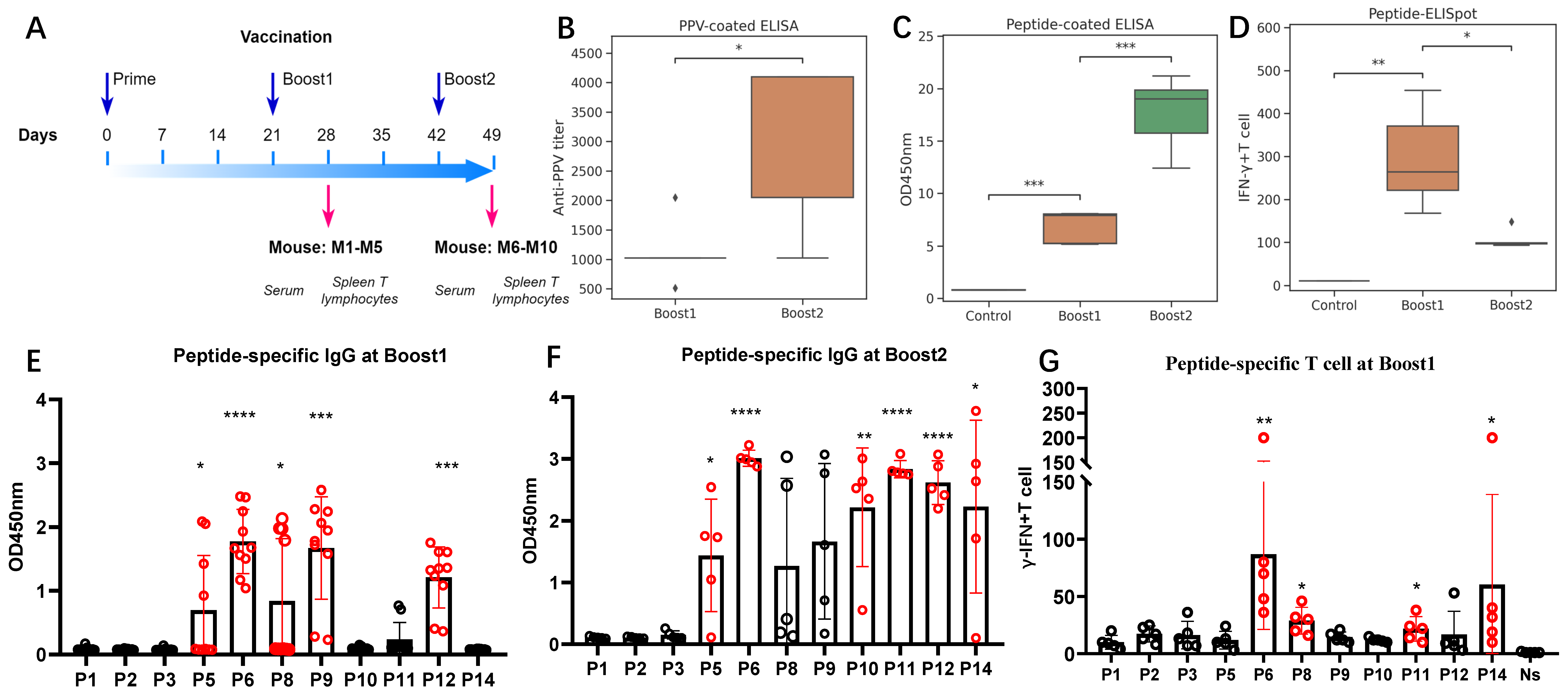 Vaccines 13 00239 g003