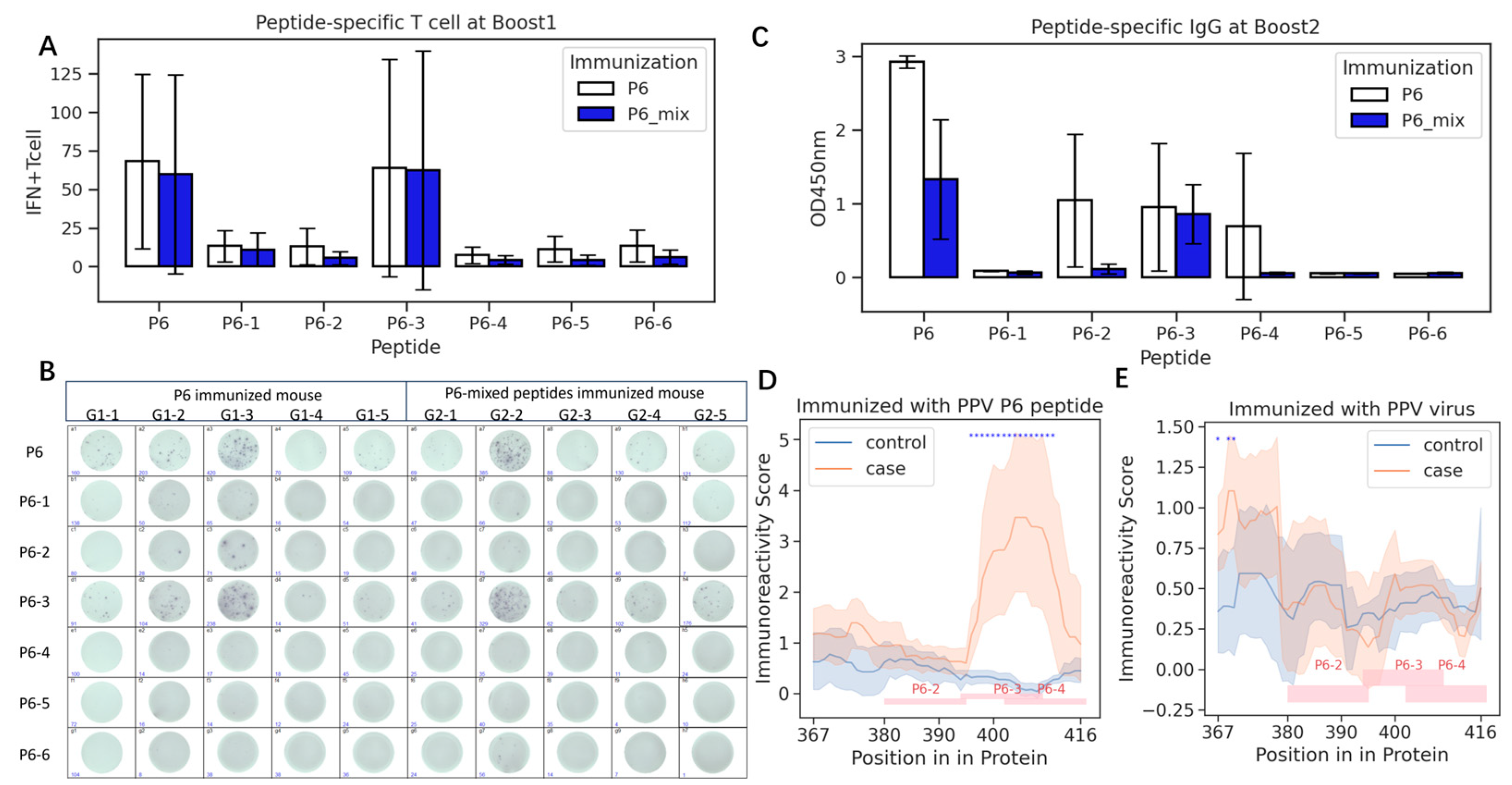 Vaccines 13 00239 g004