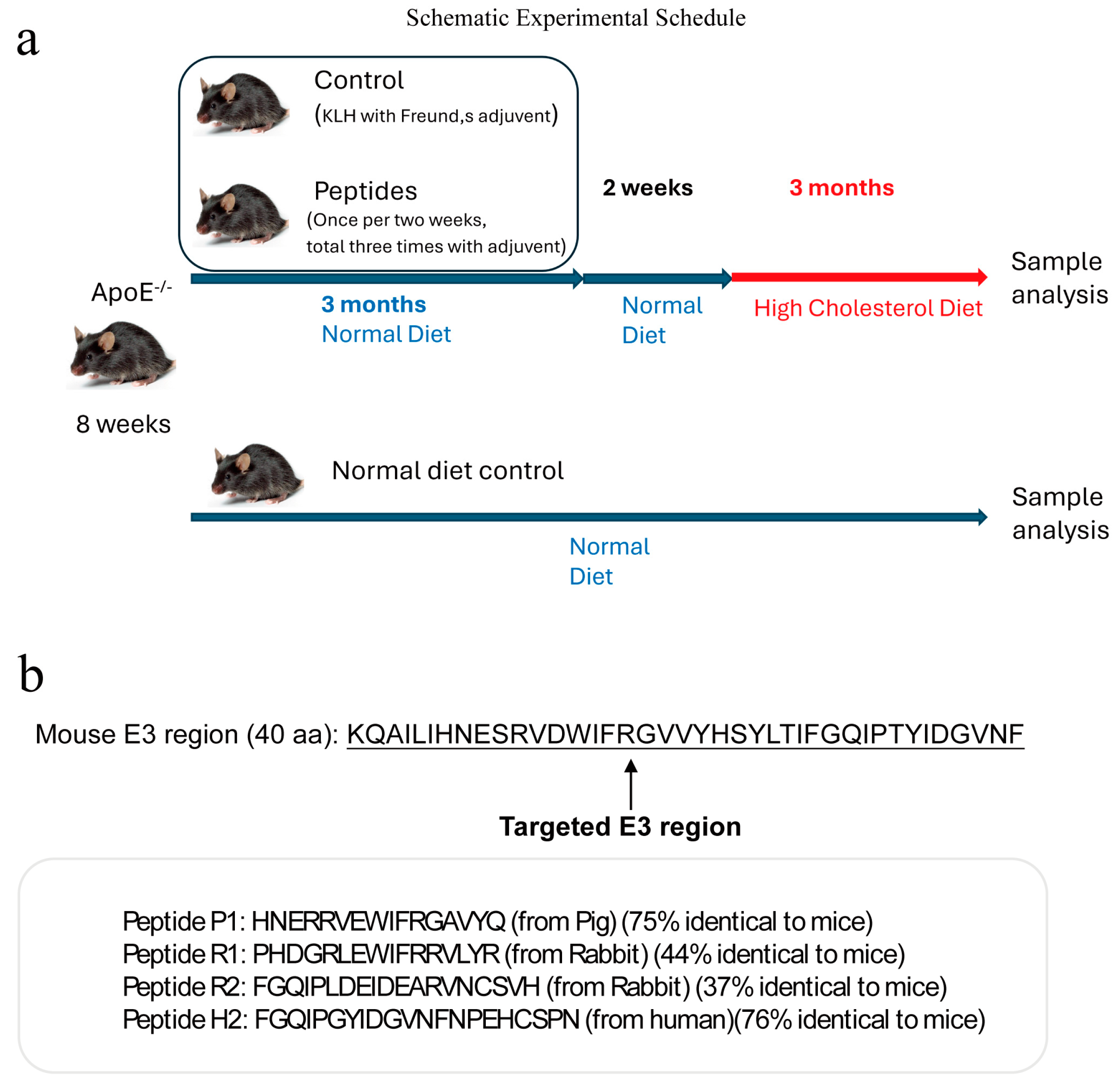 Vaccines 13 00241 g001