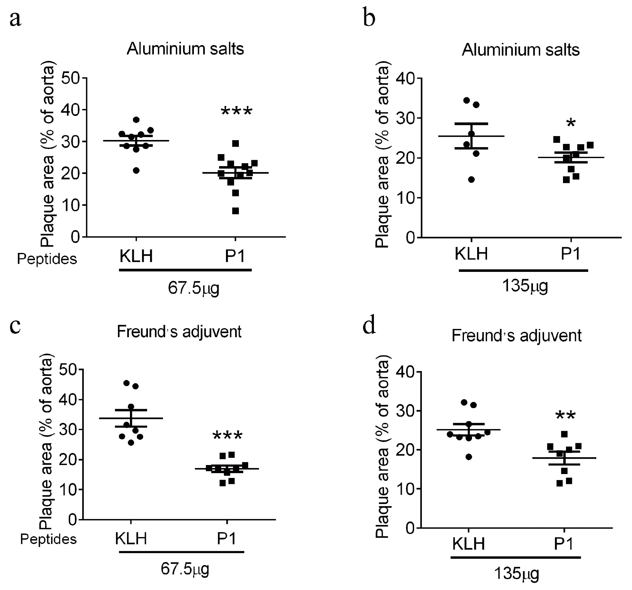 Vaccines 13 00241 g005