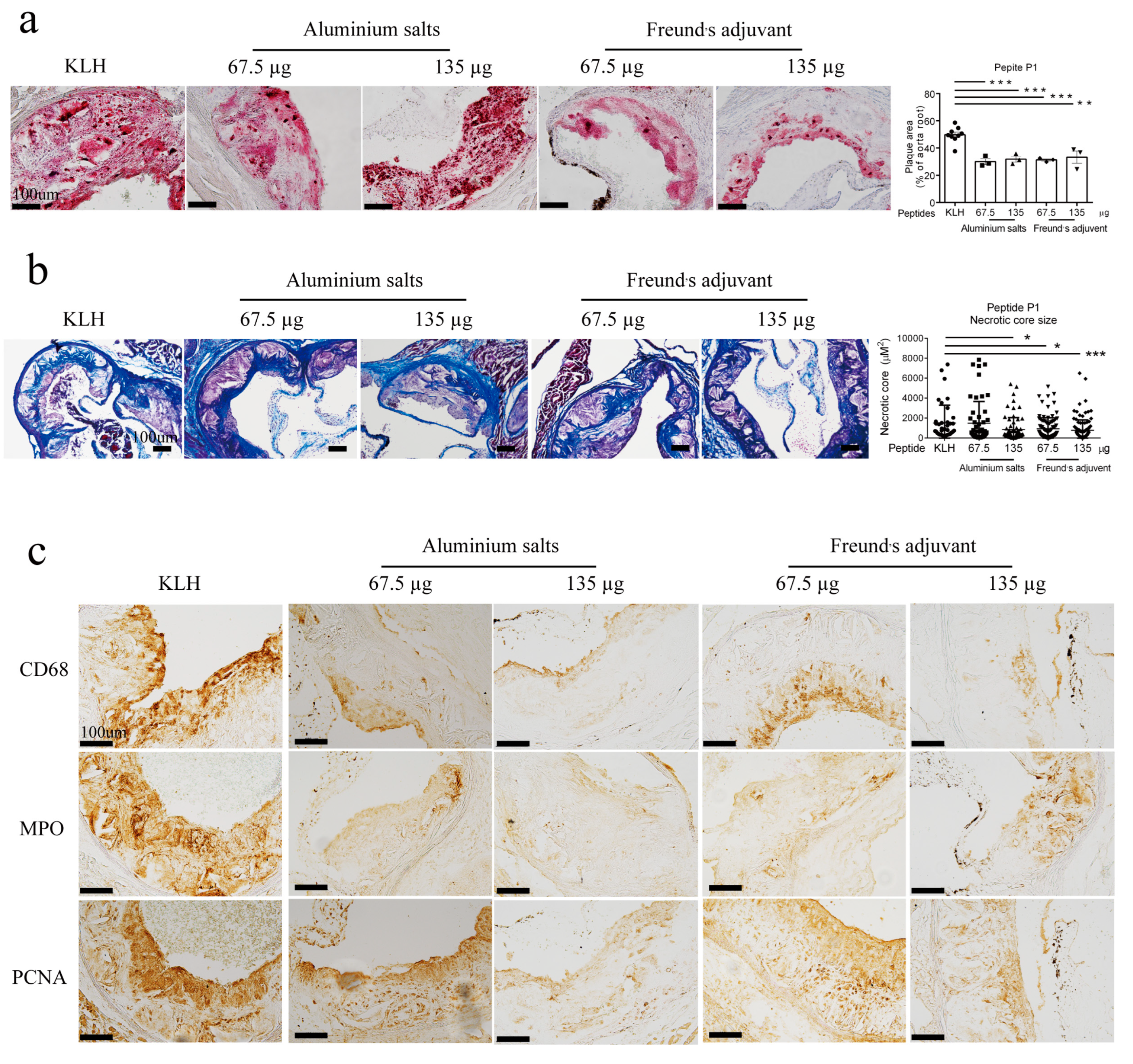 Vaccines 13 00241 g006