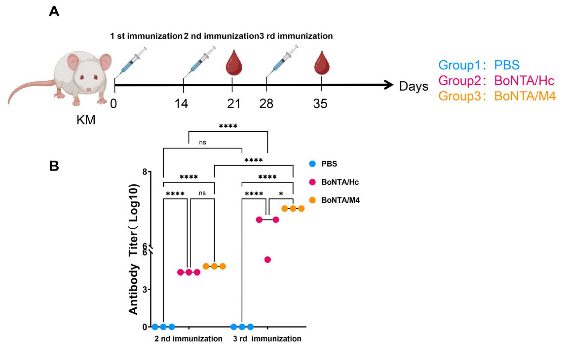 Vaccines 13 00243 g002