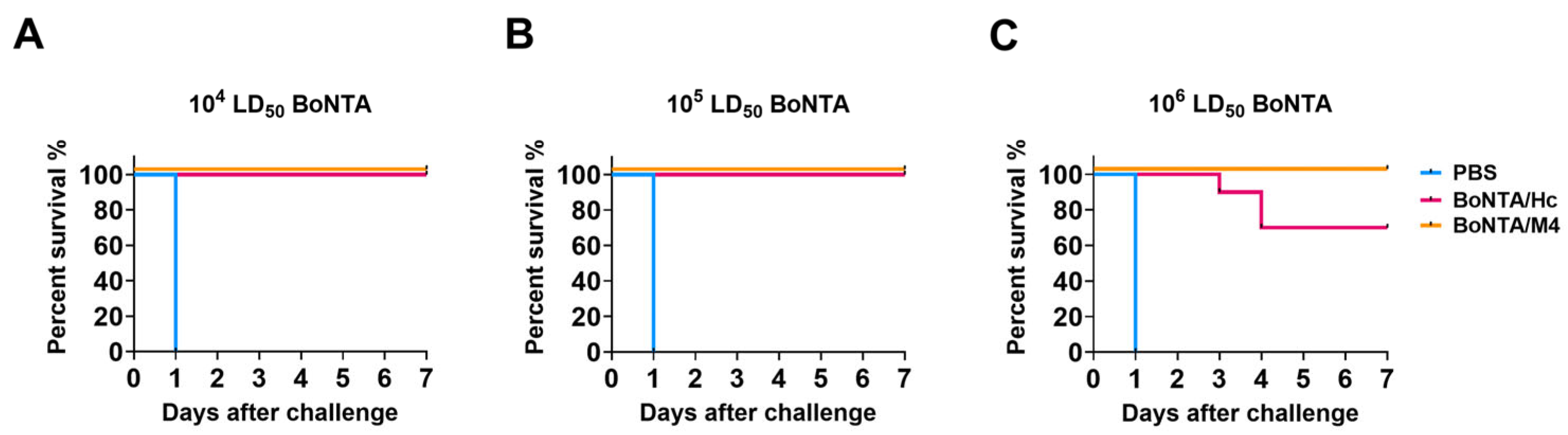 Vaccines 13 00243 g005