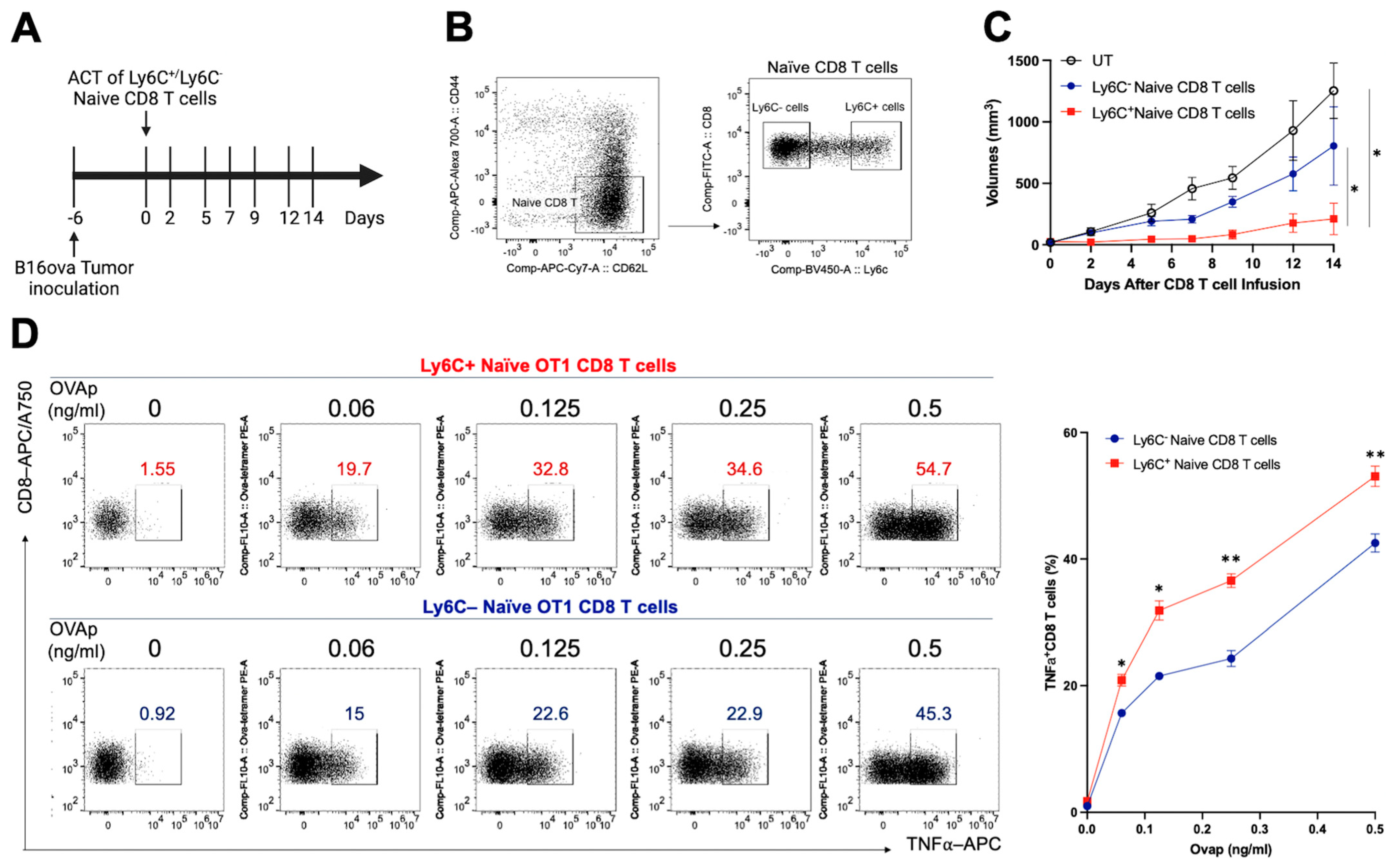 Vaccines 13 00246 g001