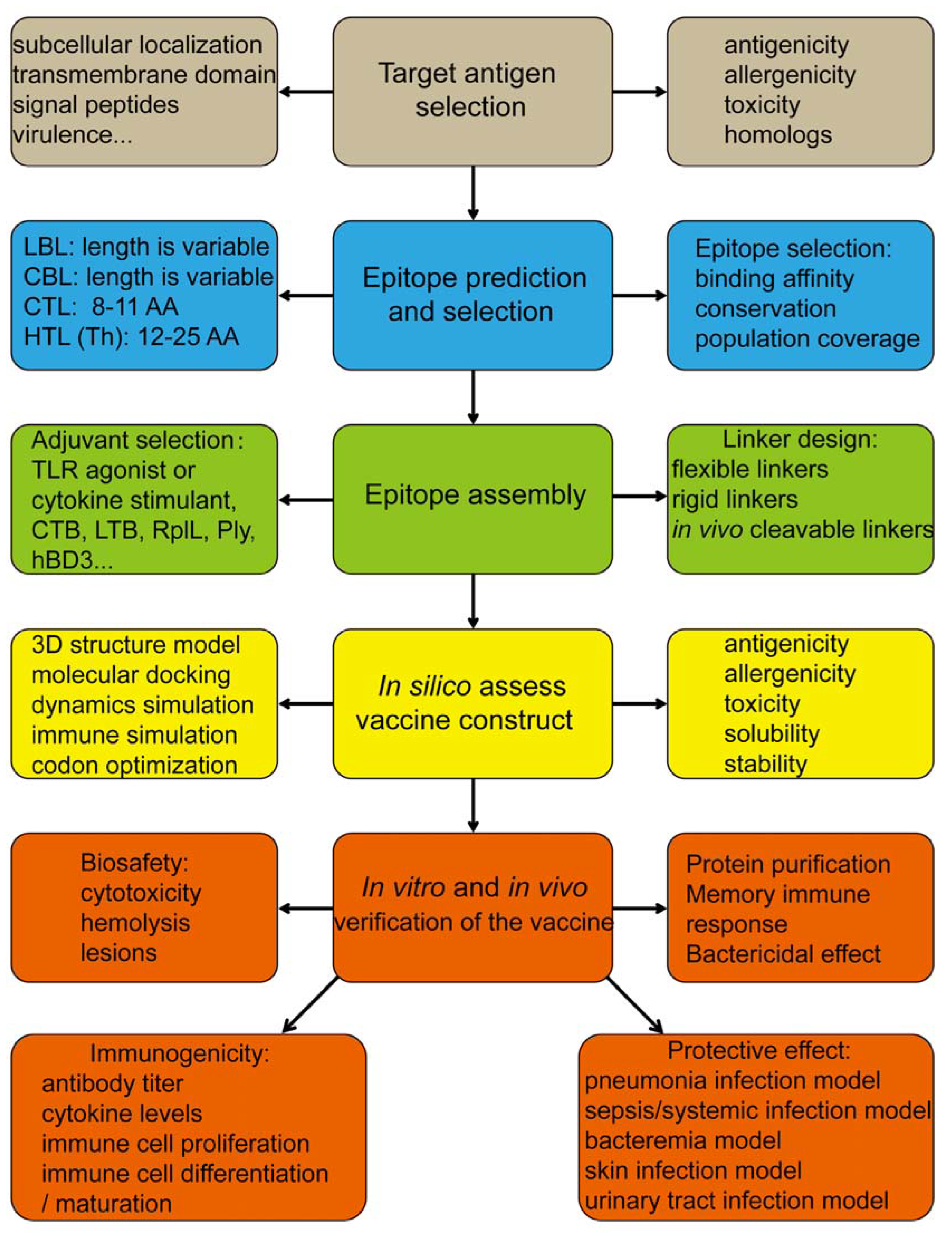 Vaccines 13 00248 g001