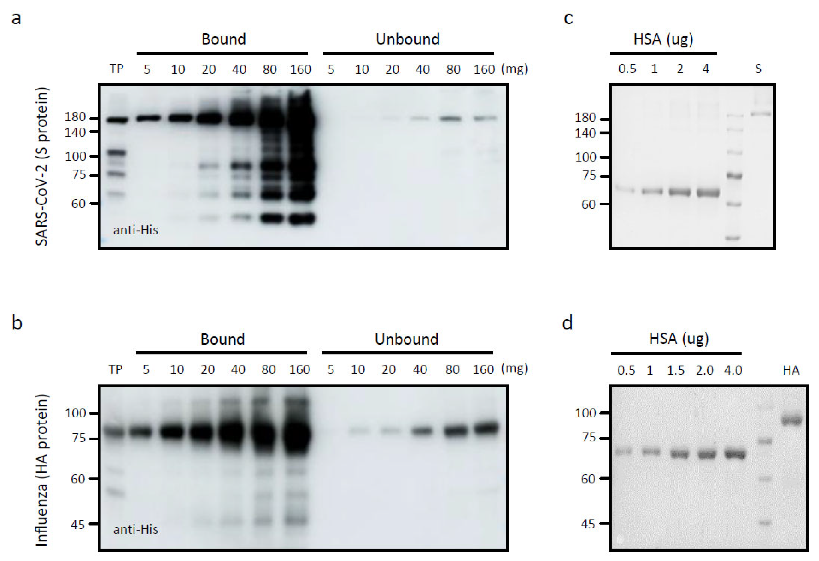 Vaccines 13 00254 g002