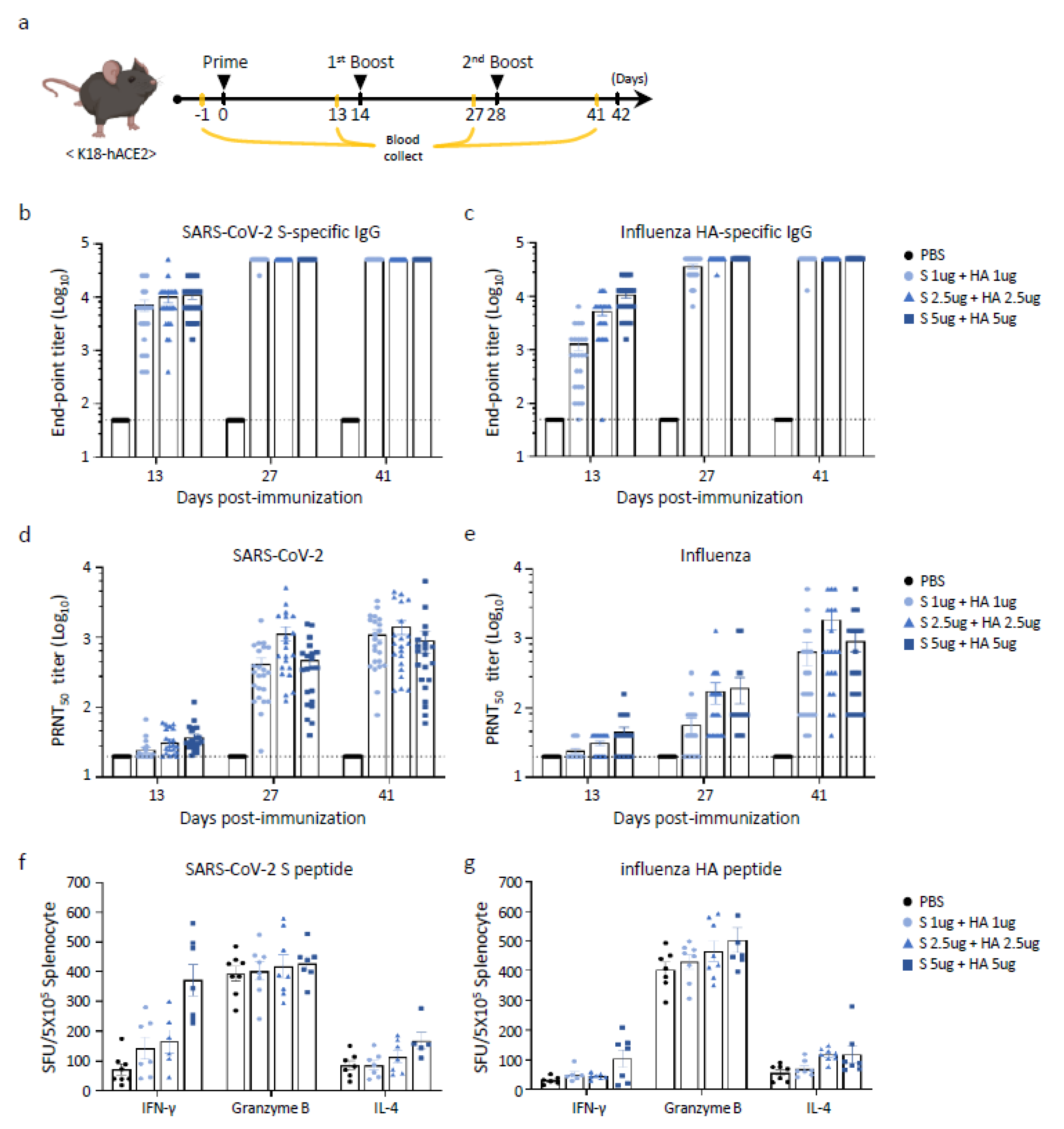 Vaccines 13 00254 g004