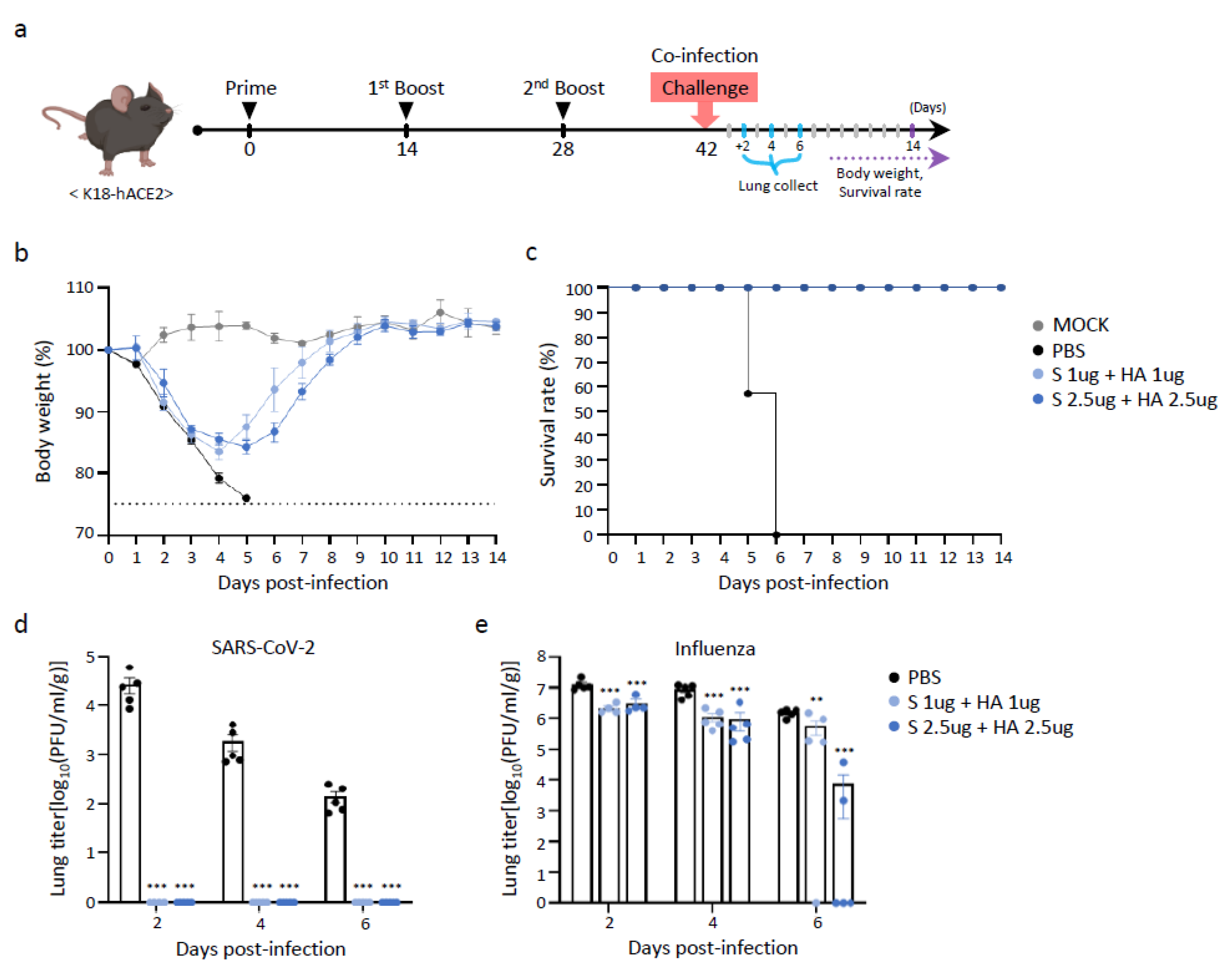 Vaccines 13 00254 g006a