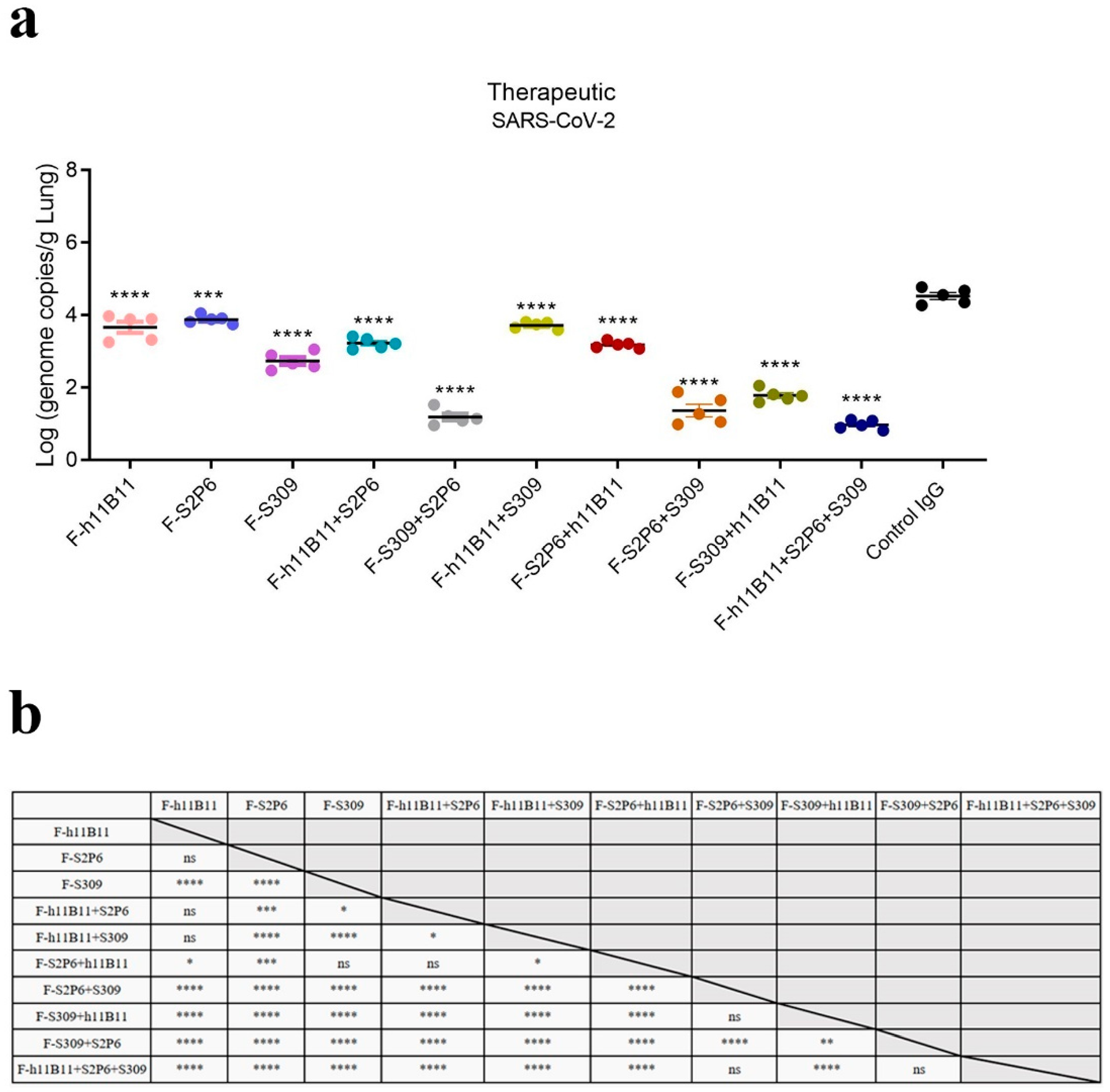Vaccines 13 00255 g006