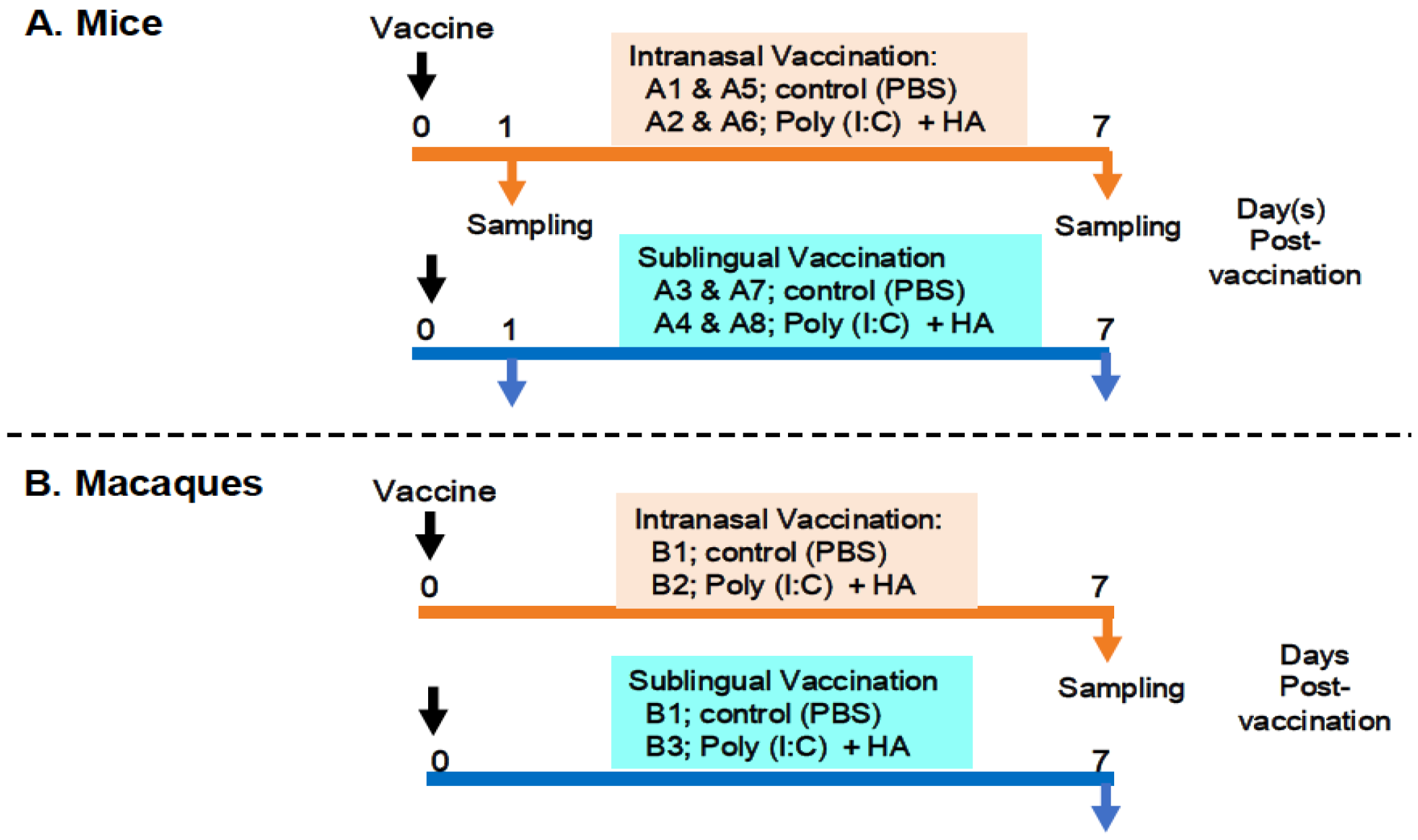 Vaccines 13 00261 g001