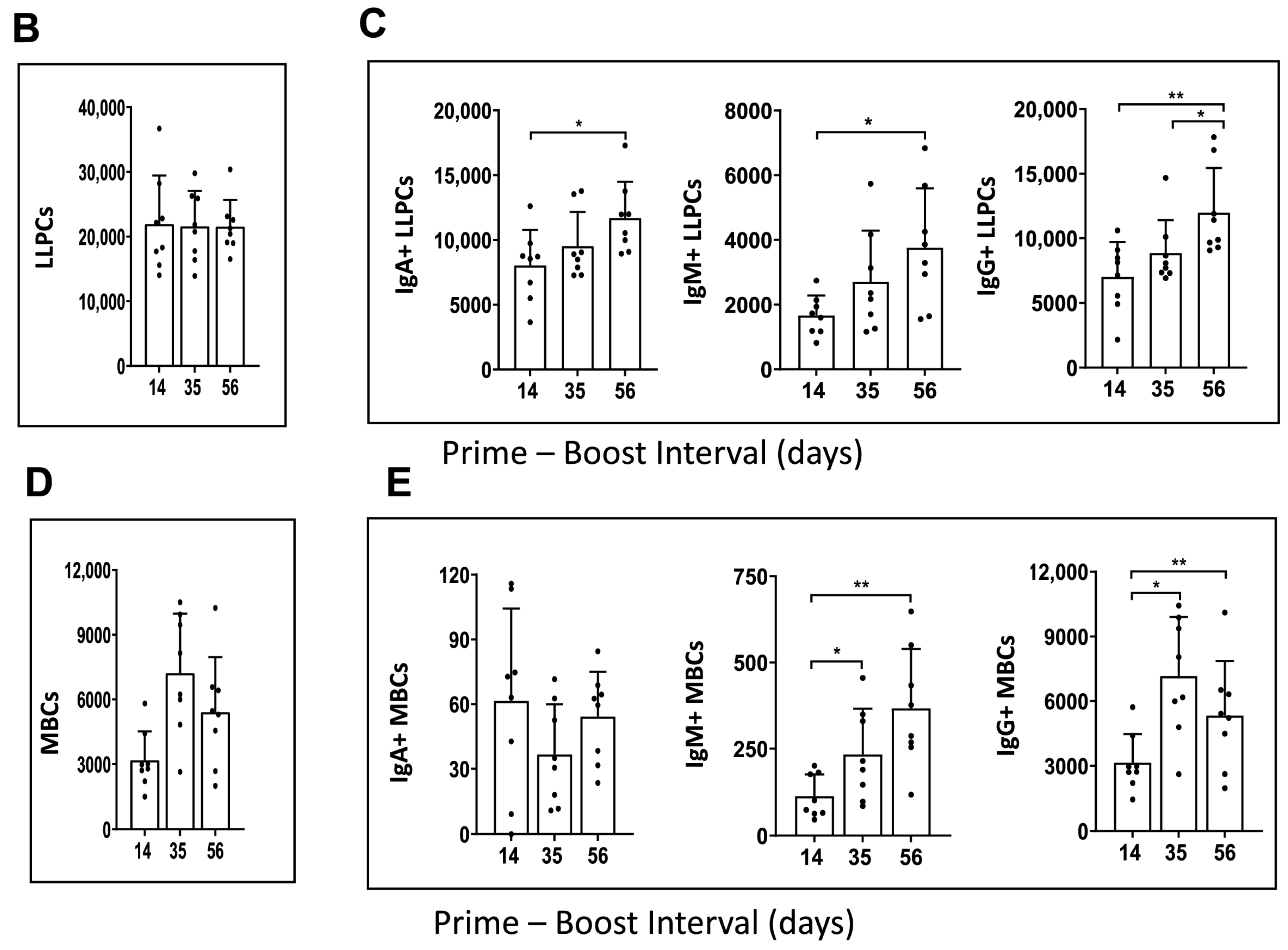 Vaccines 13 00263 g004b