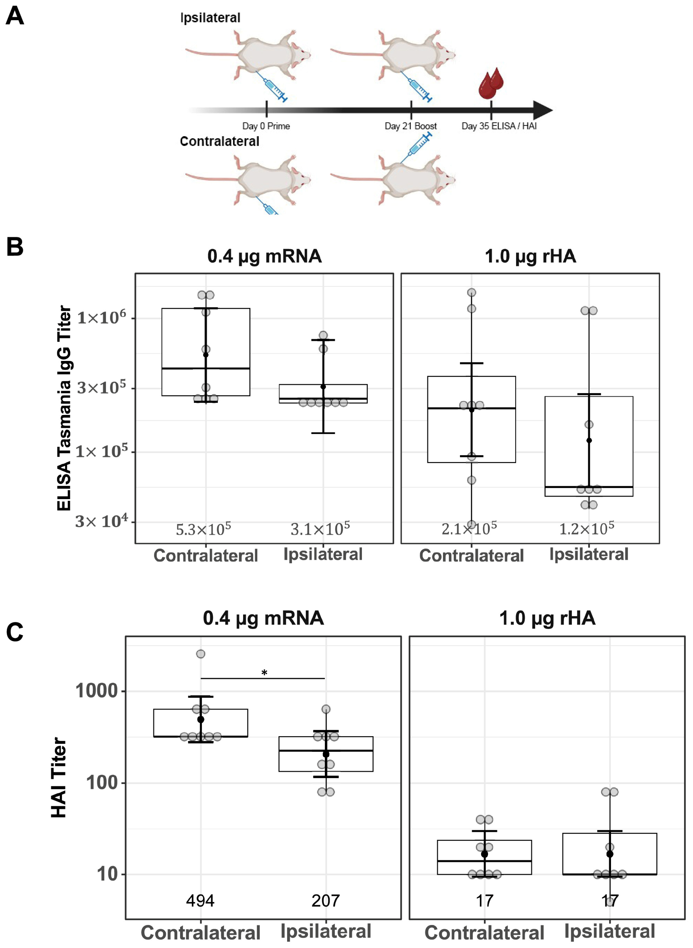 Vaccines 13 00263 g005