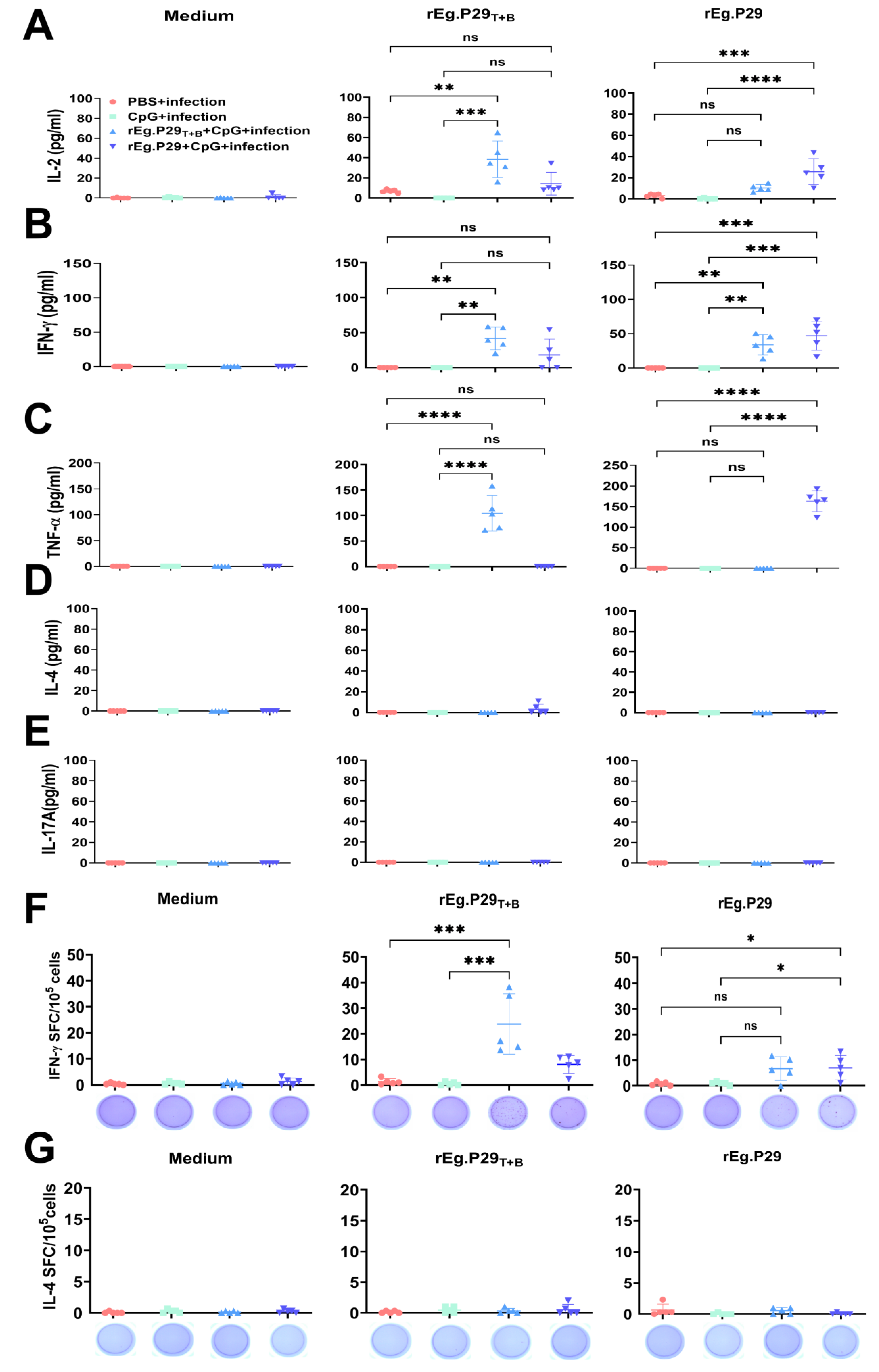 Vaccines 13 00266 g003