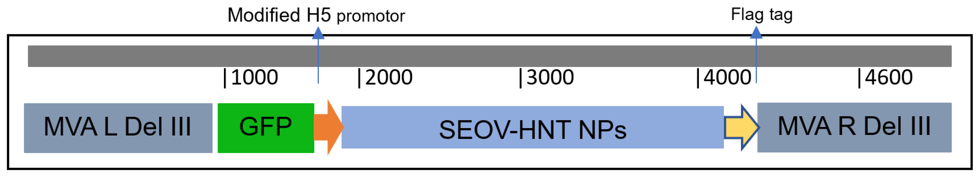 Vaccines 13 00270 g001