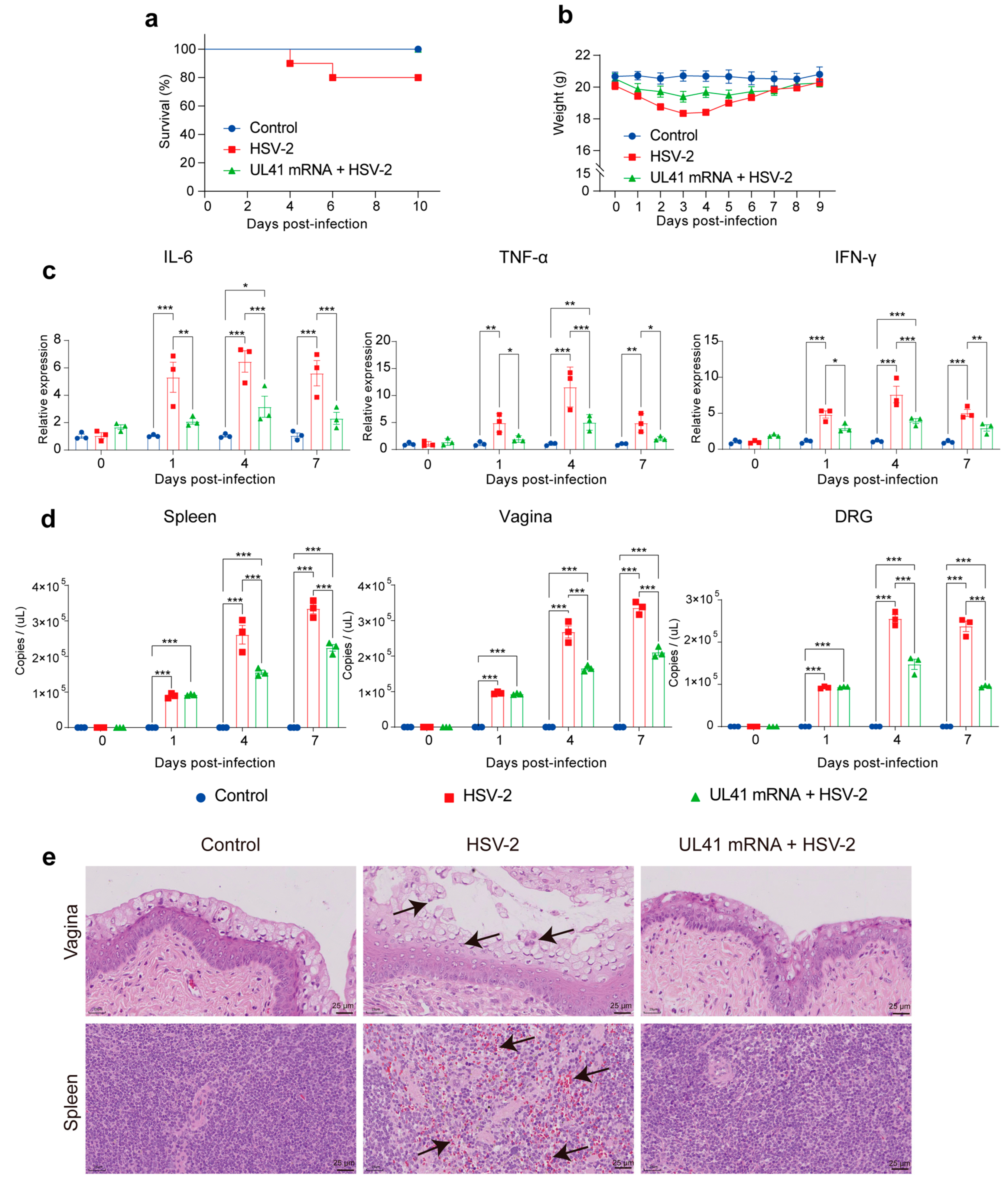 Vaccines 13 00271 g004