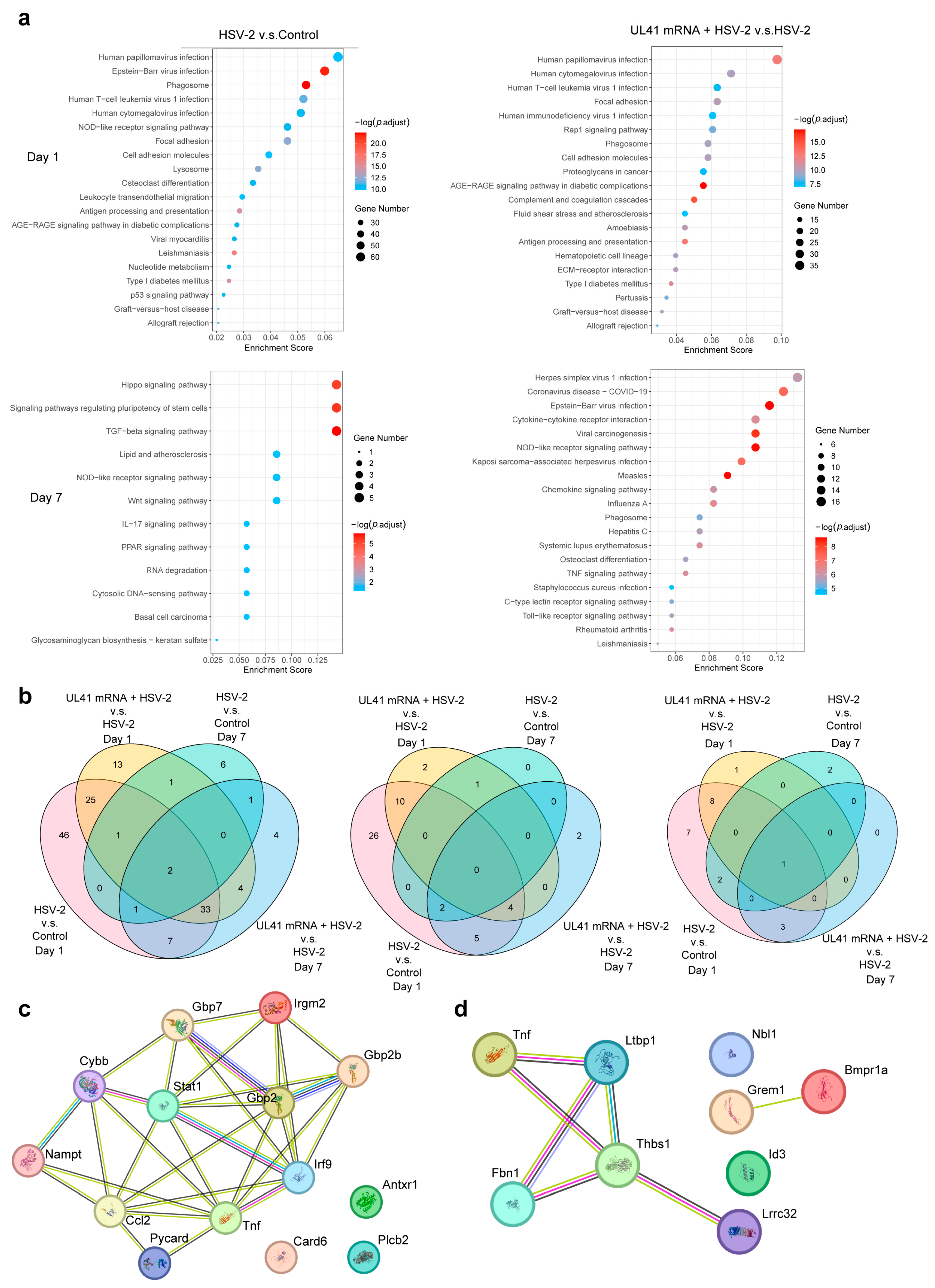Vaccines 13 00271 g007