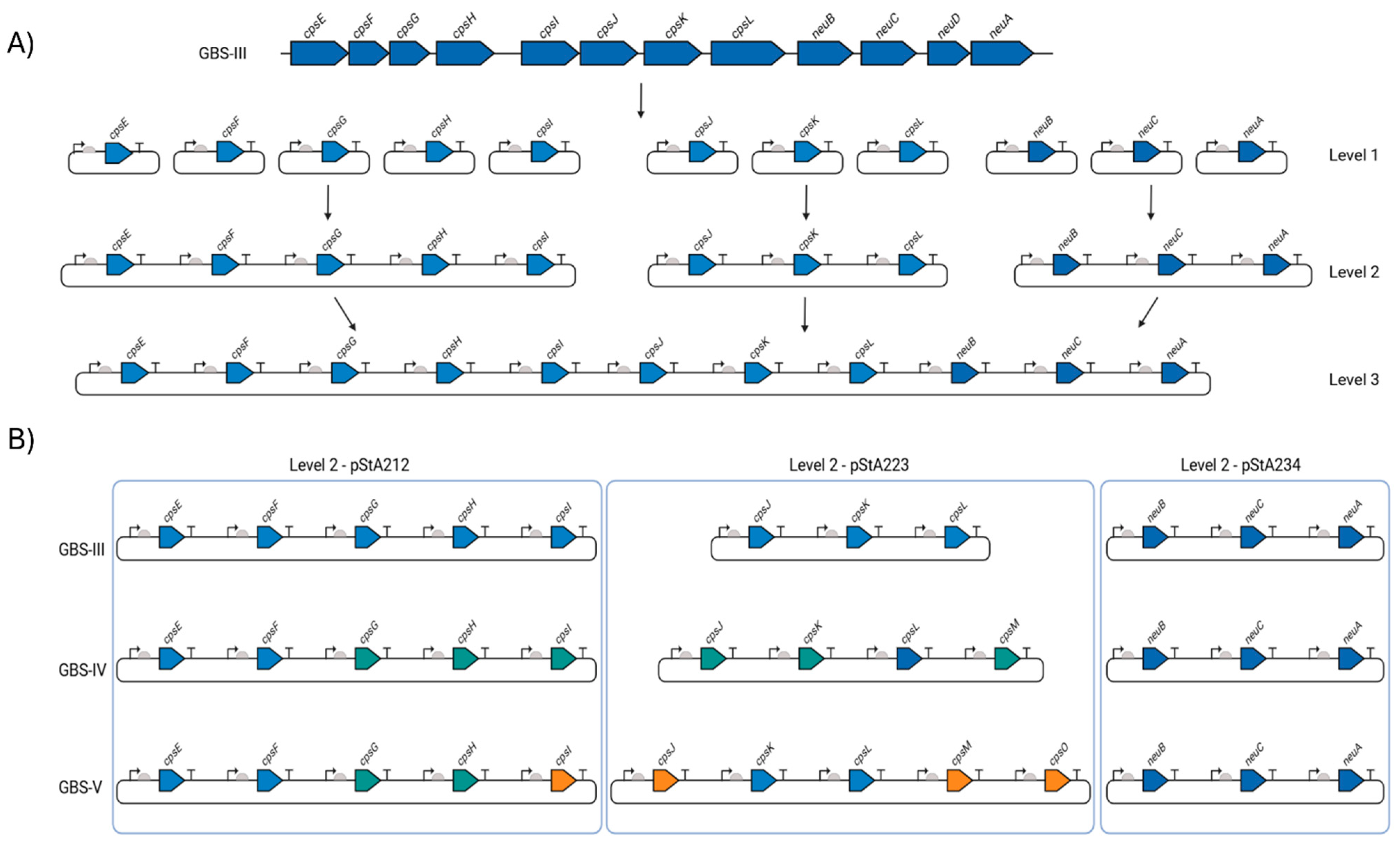 Vaccines 13 00279 g001