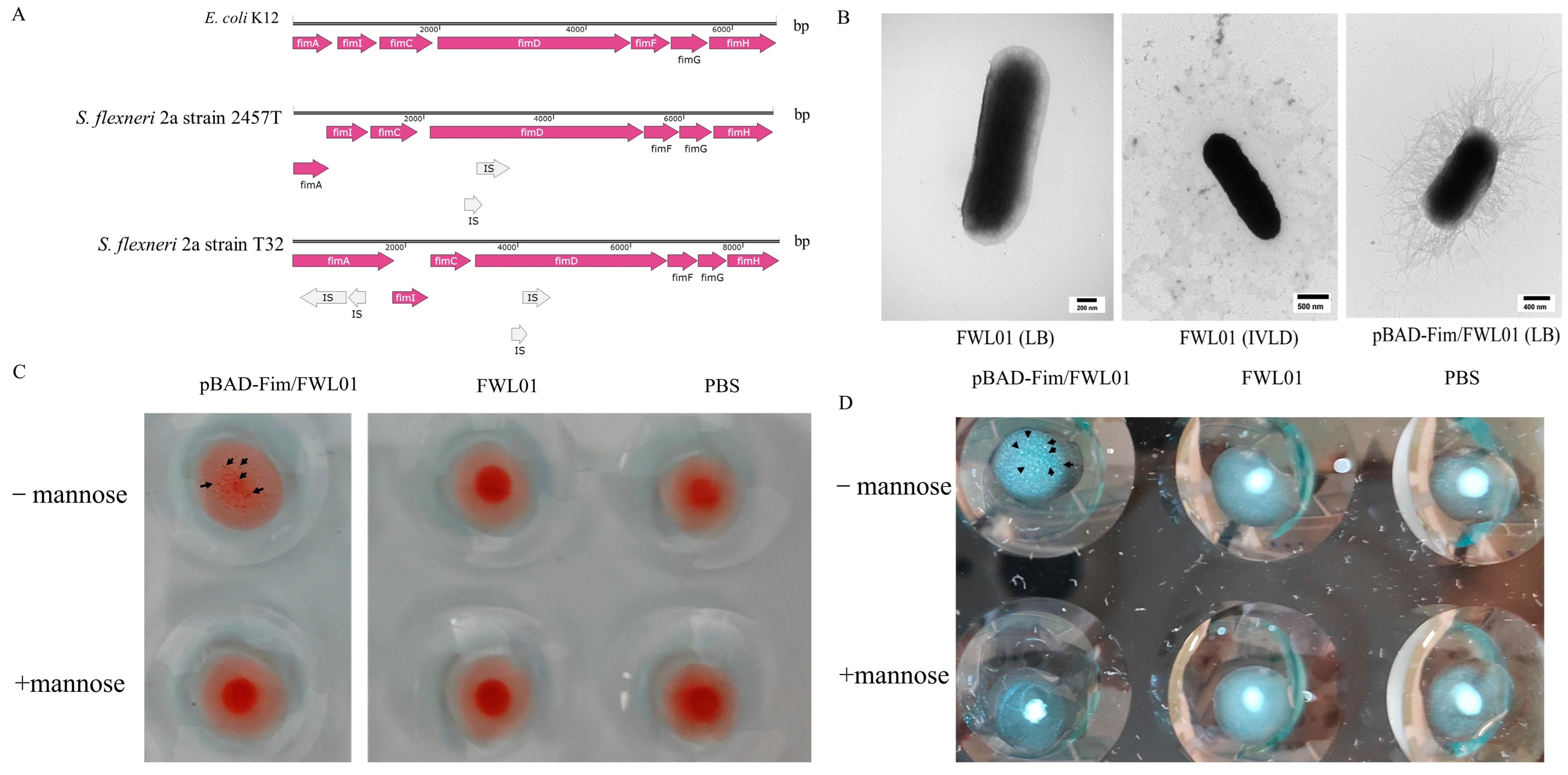 Vaccines 13 00280 g001