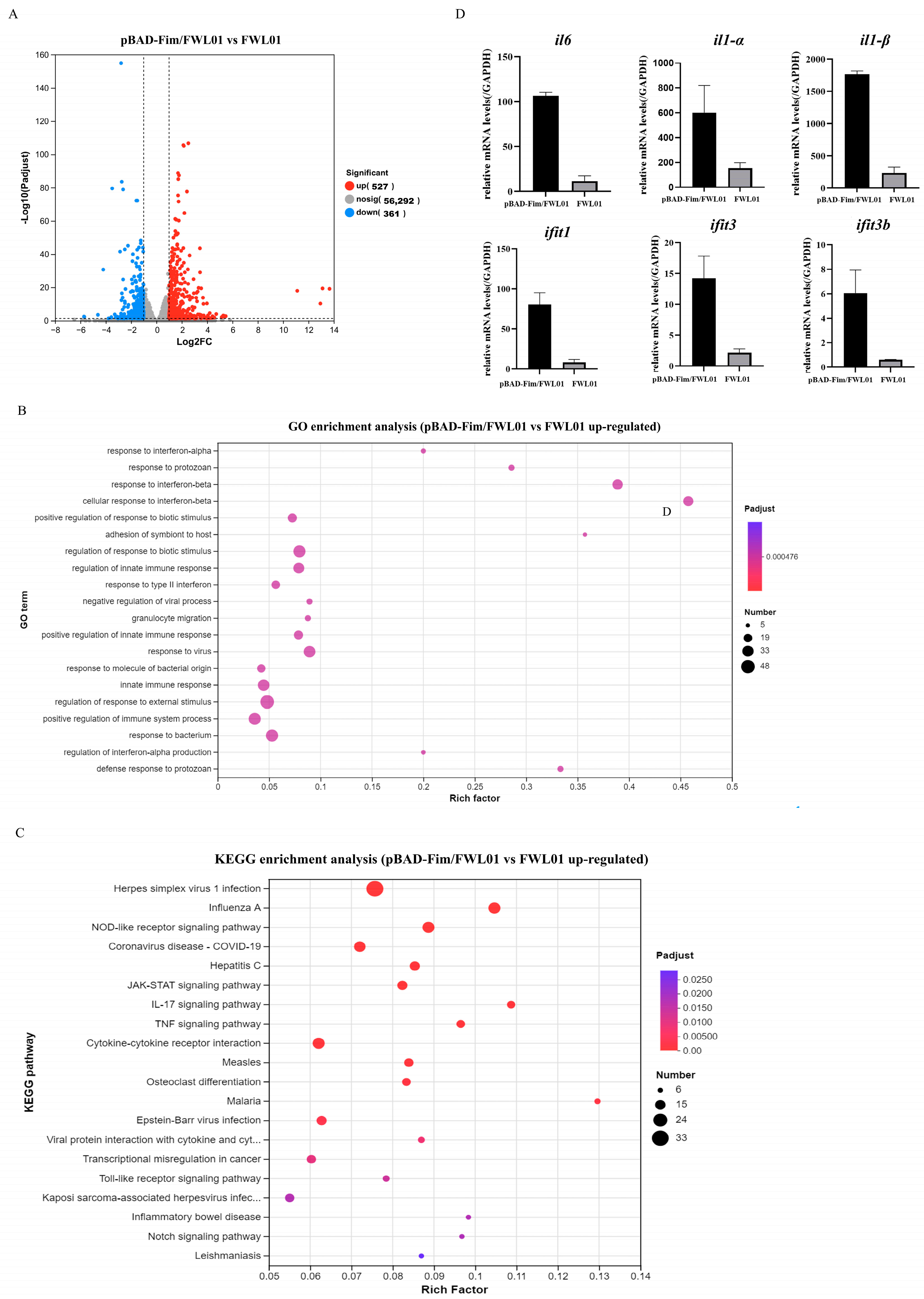 Vaccines 13 00280 g002
