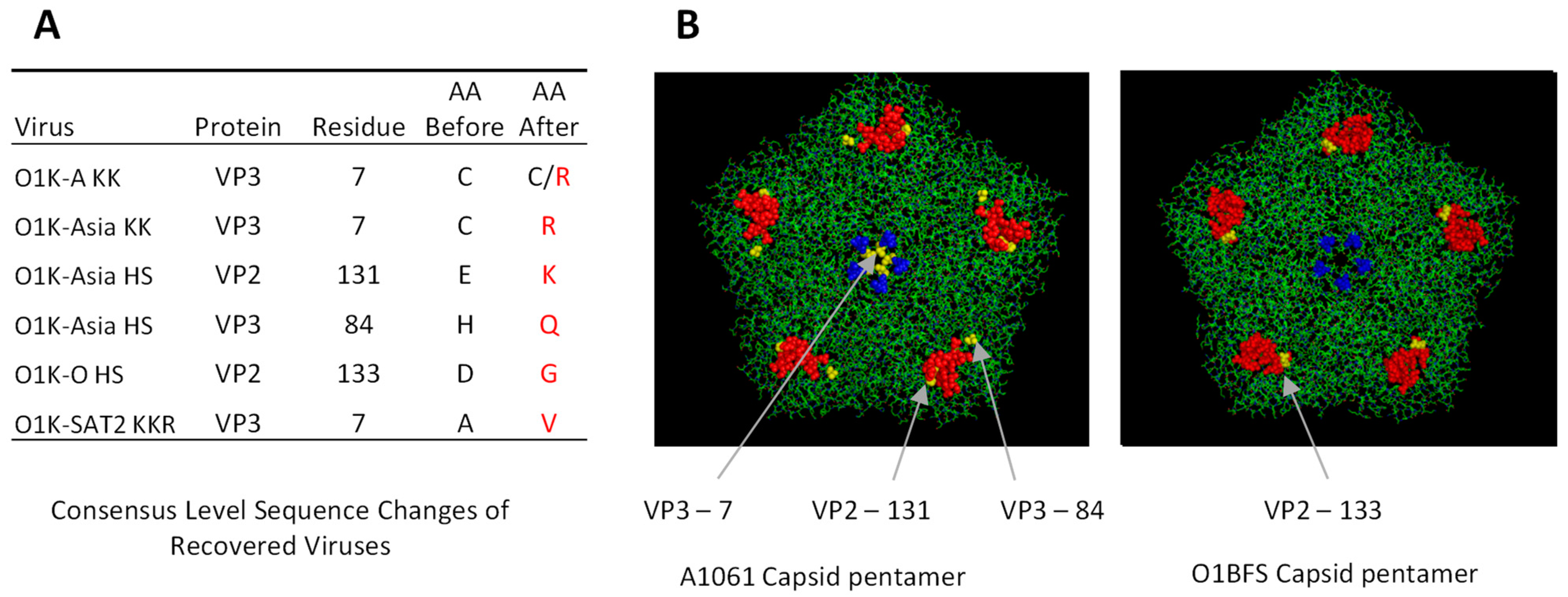 Vaccines 13 00281 g001