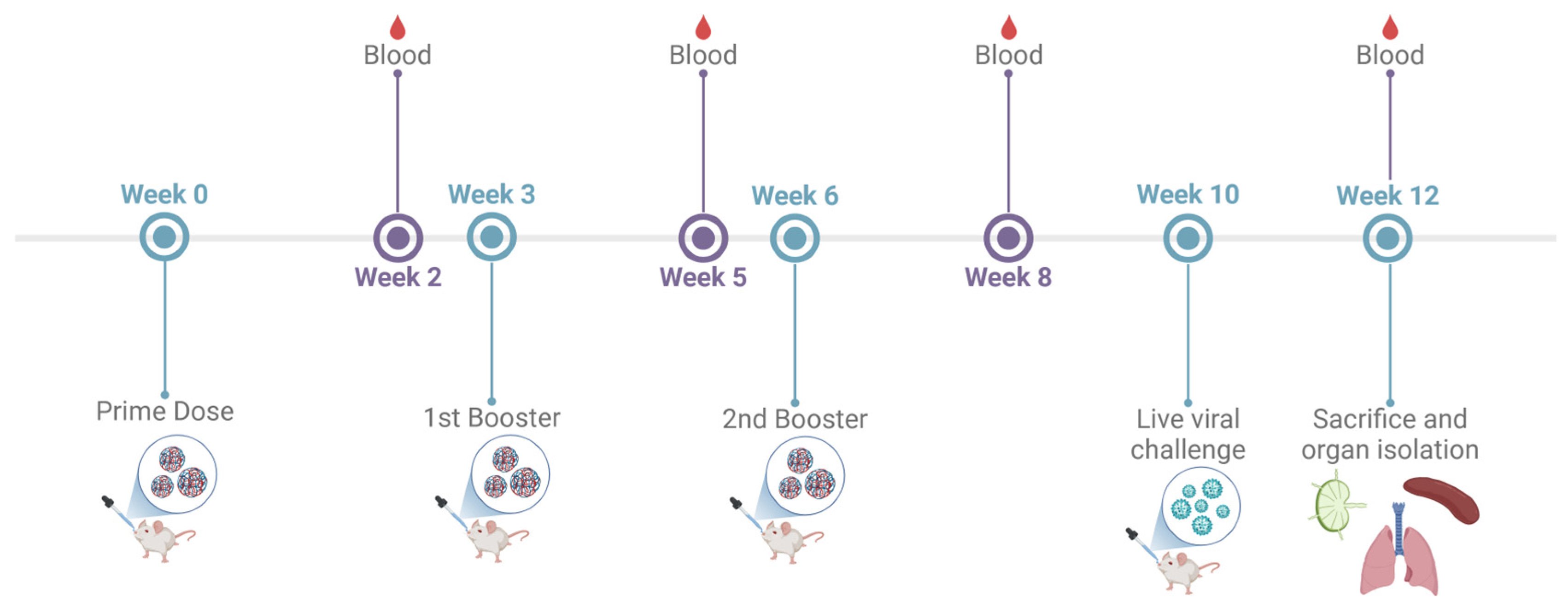 Vaccines 13 00282 g001
