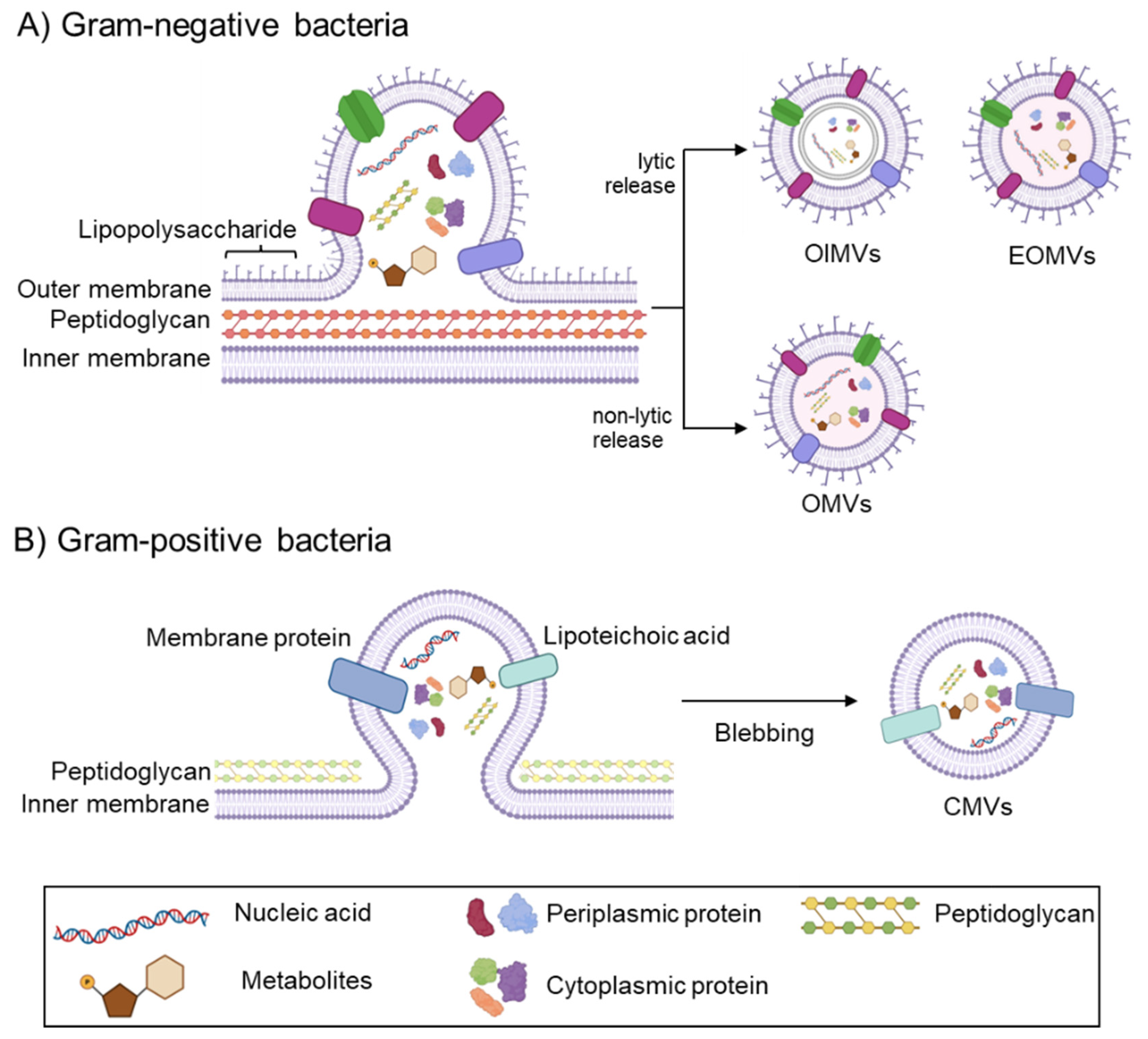 Vaccines 13 00285 g002