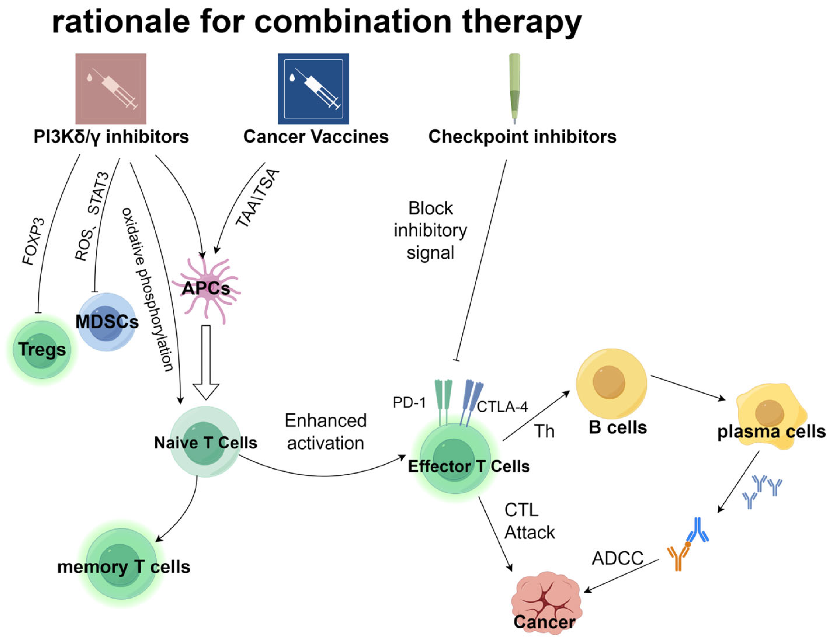 Vaccines 13 00292 g001