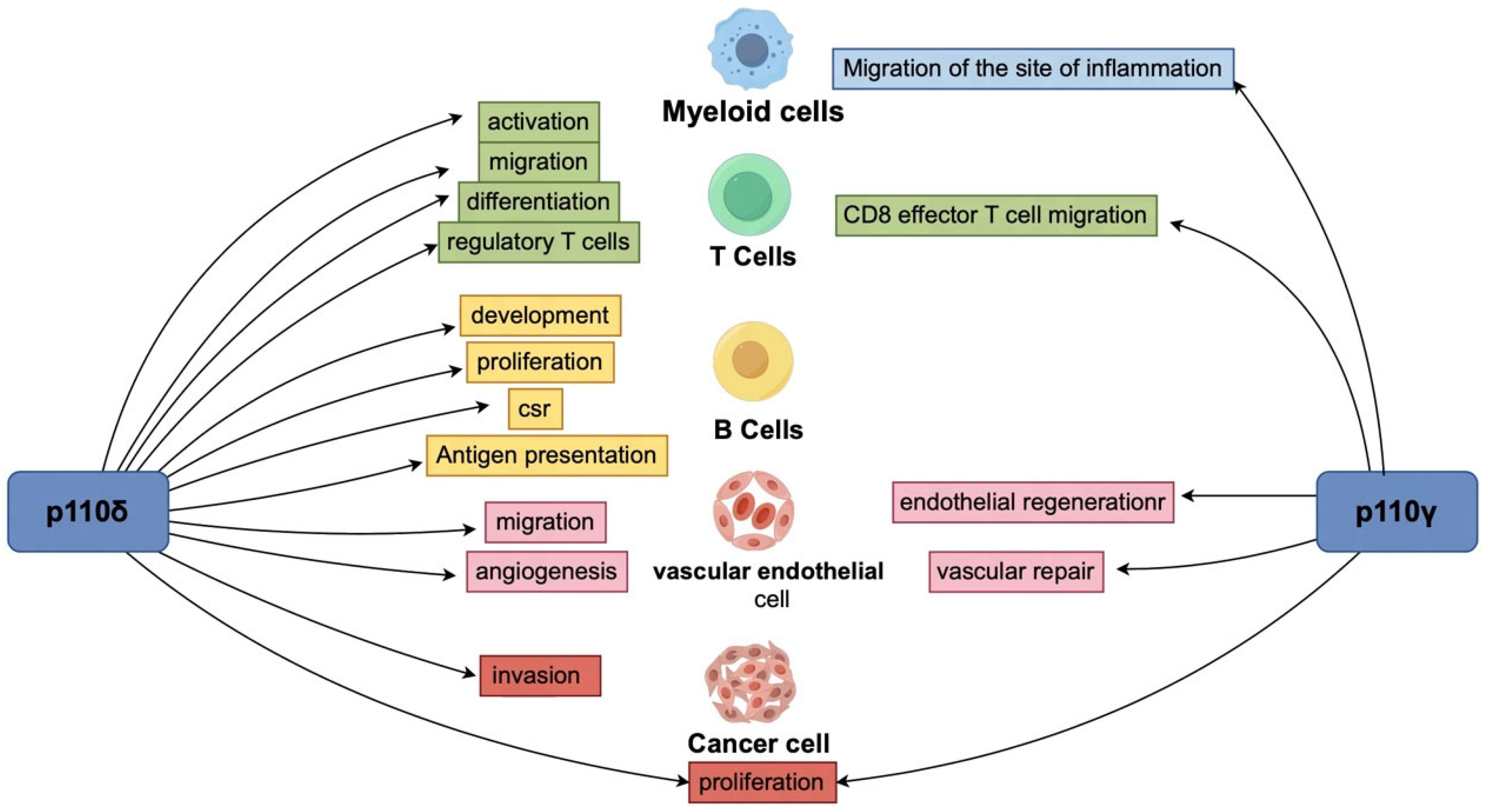 Vaccines 13 00292 g003