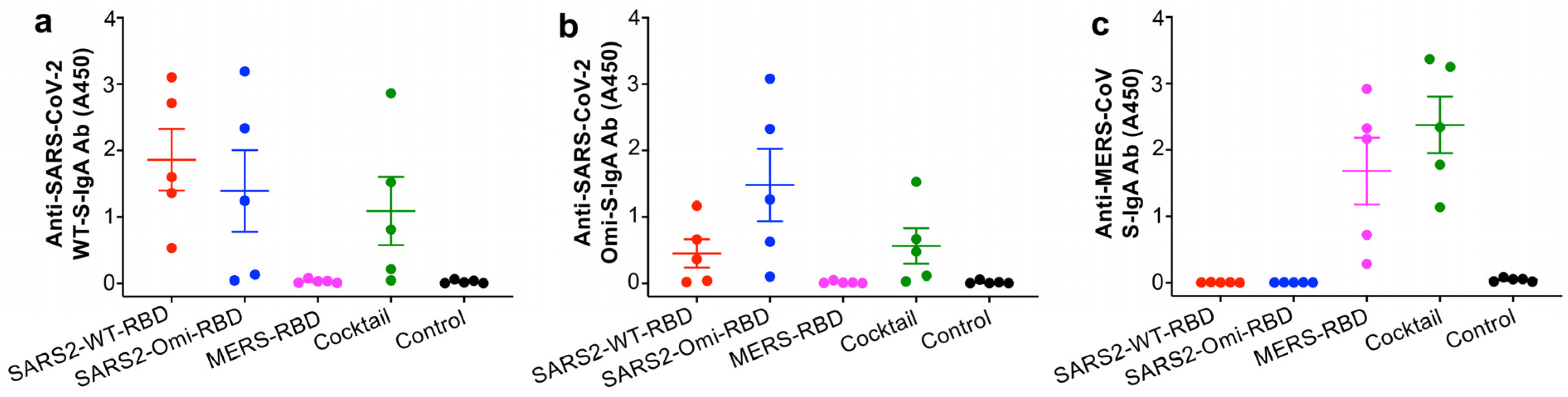 Vaccines 13 00293 g003