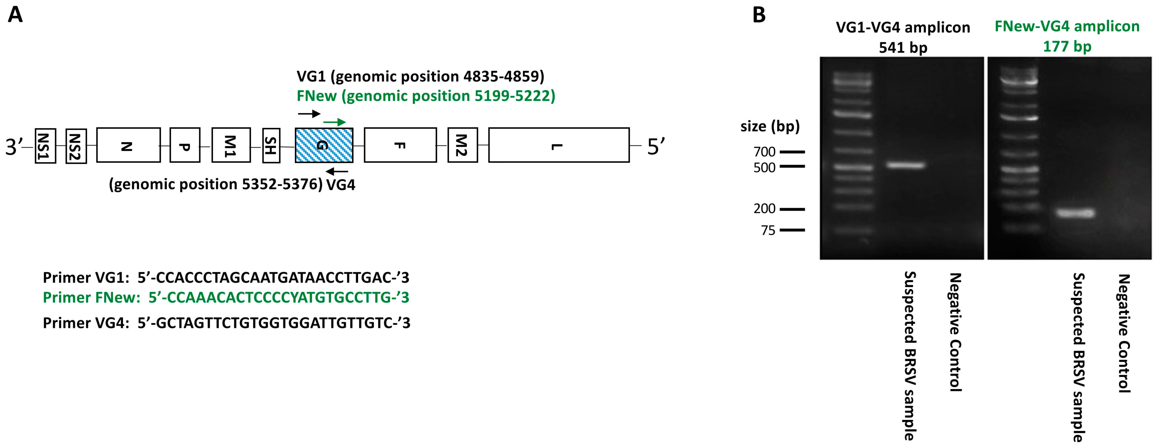 Vaccines 13 00298 g001