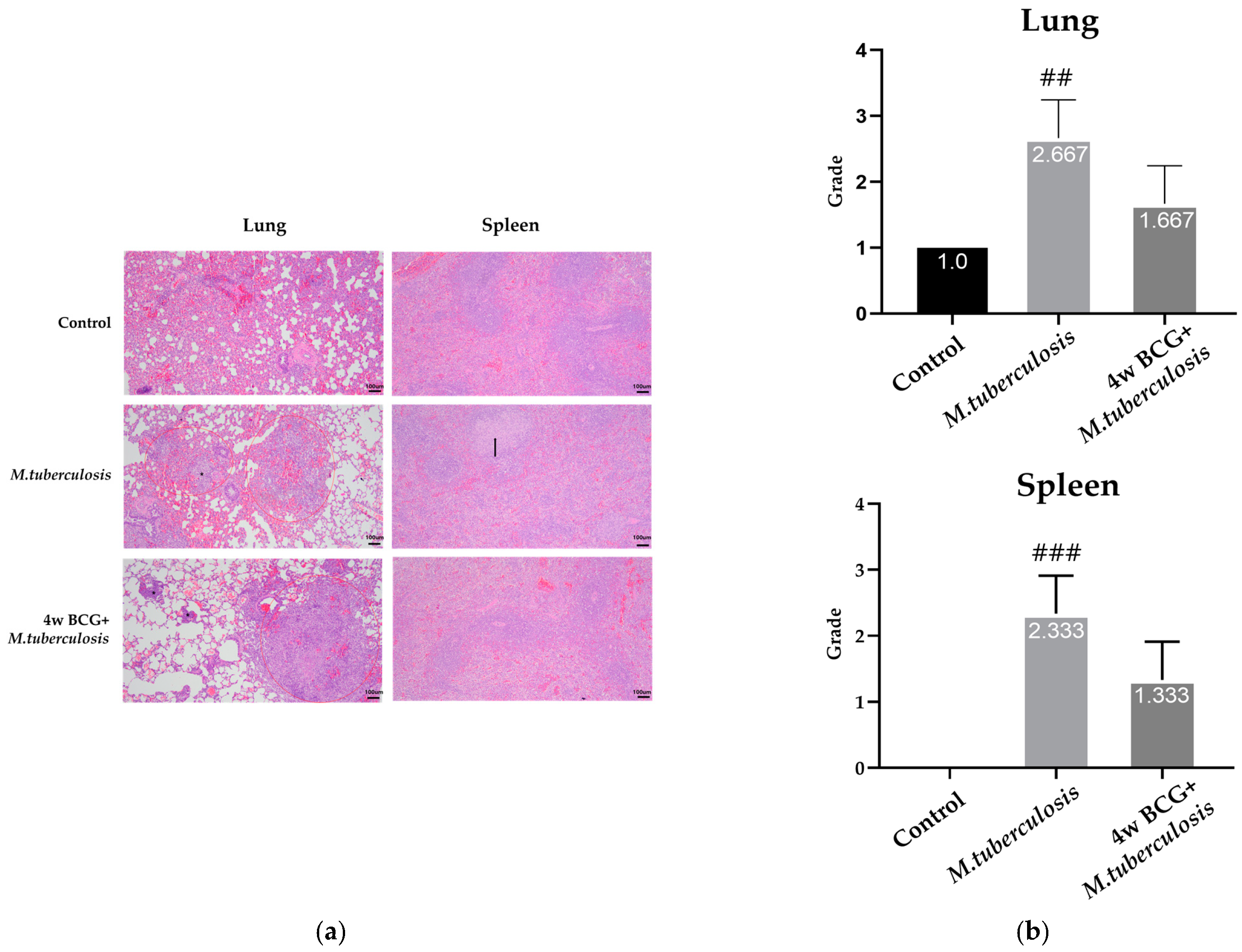 Vaccines 13 00305 g002